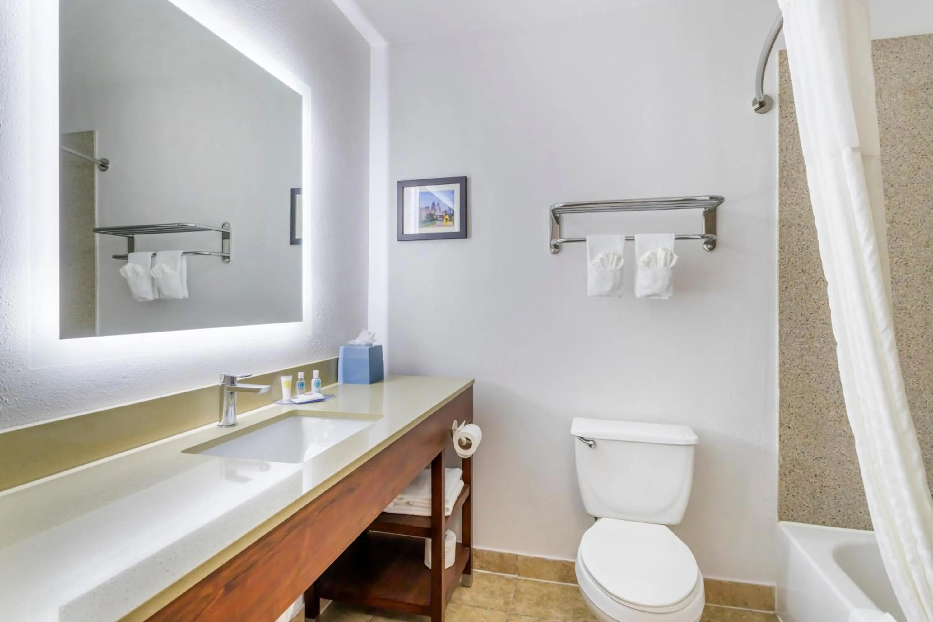 Bathroom in Comfort Inn & Suites Houston FM1960 - Champions