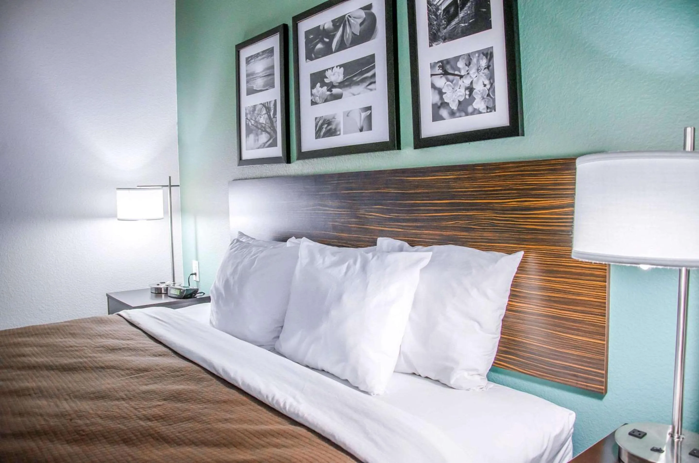 Photo of the whole room in Sleep Inn & Suites Center