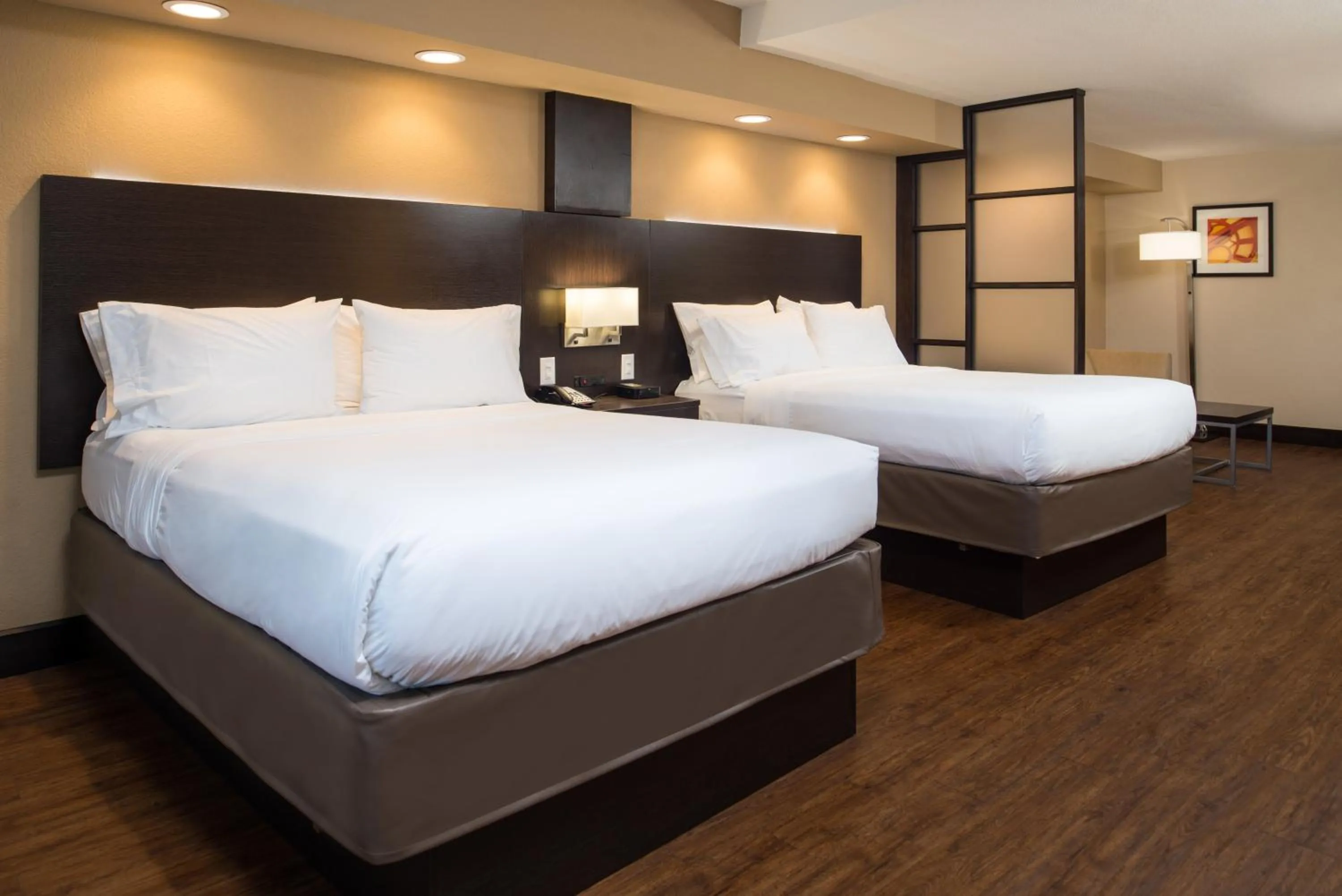Photo of the whole room, Bed in Holiday Inn Express & Suites San Antonio Medical - Six Flags by IHG