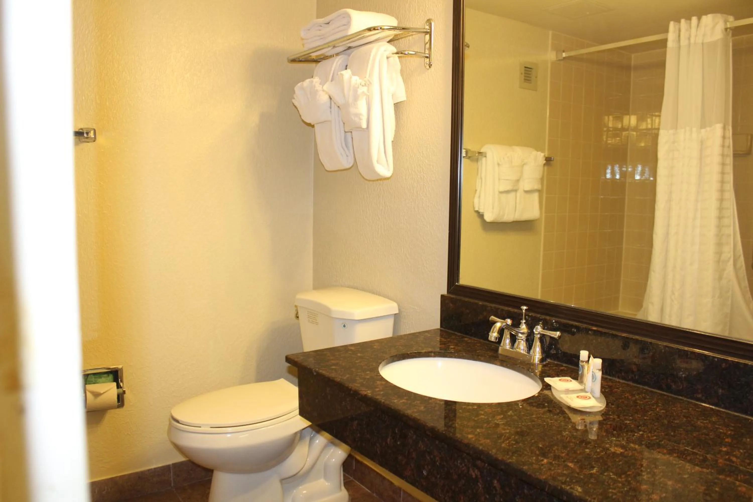 Bathroom in Comfort Inn University Center
