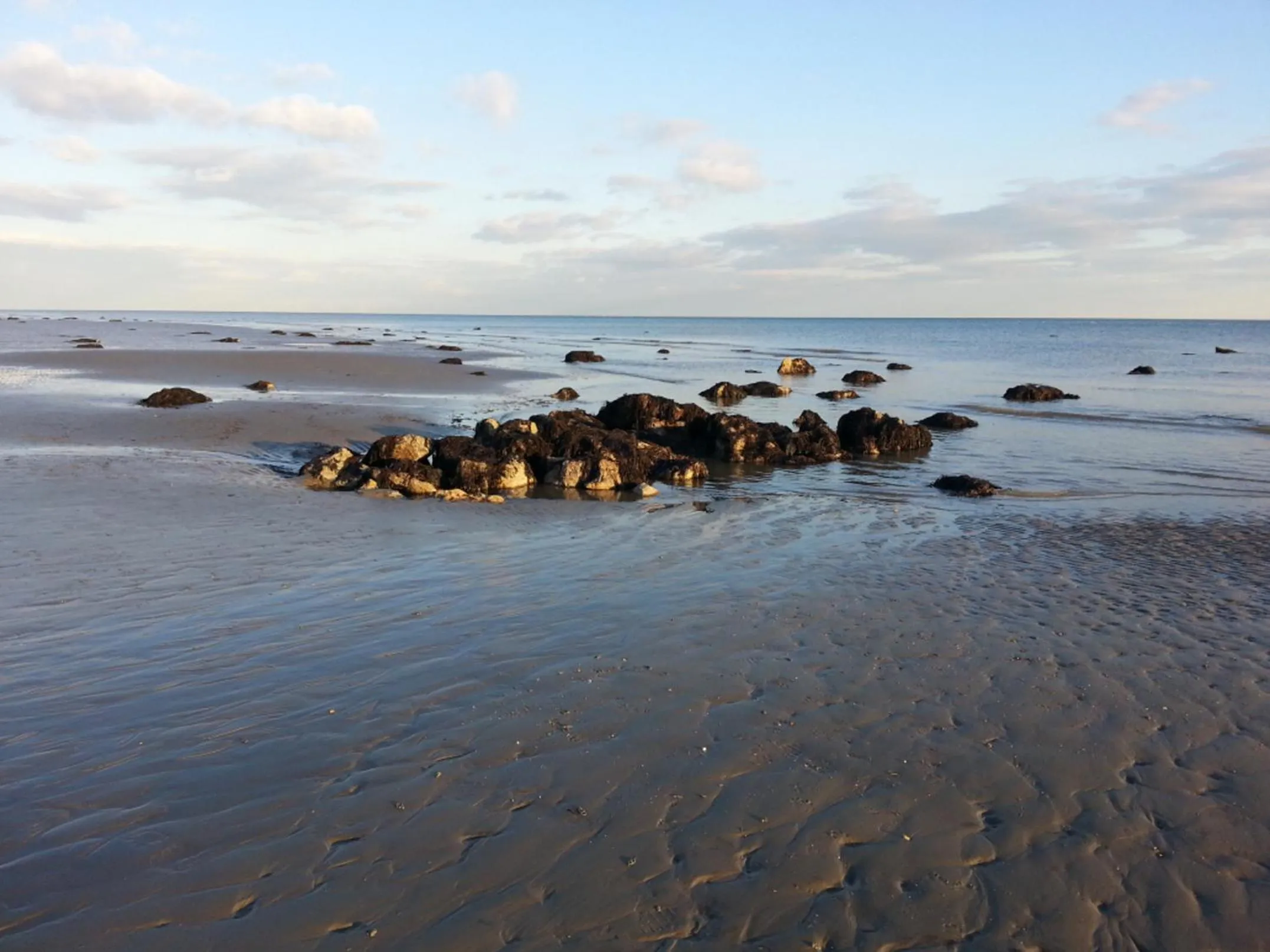 Natural landscape in The Aldwick