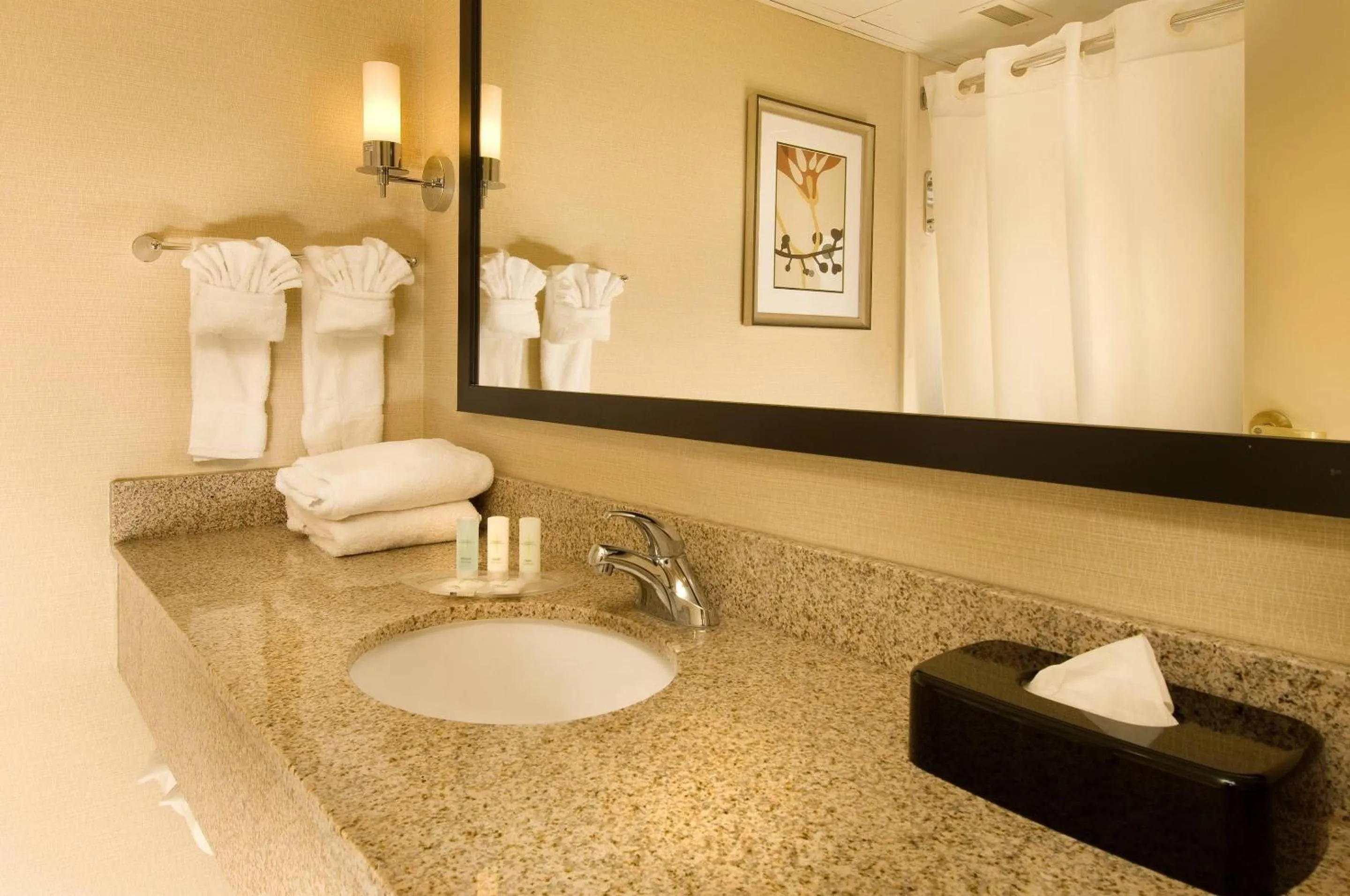 Bedroom in Comfort Suites Dulles Airport