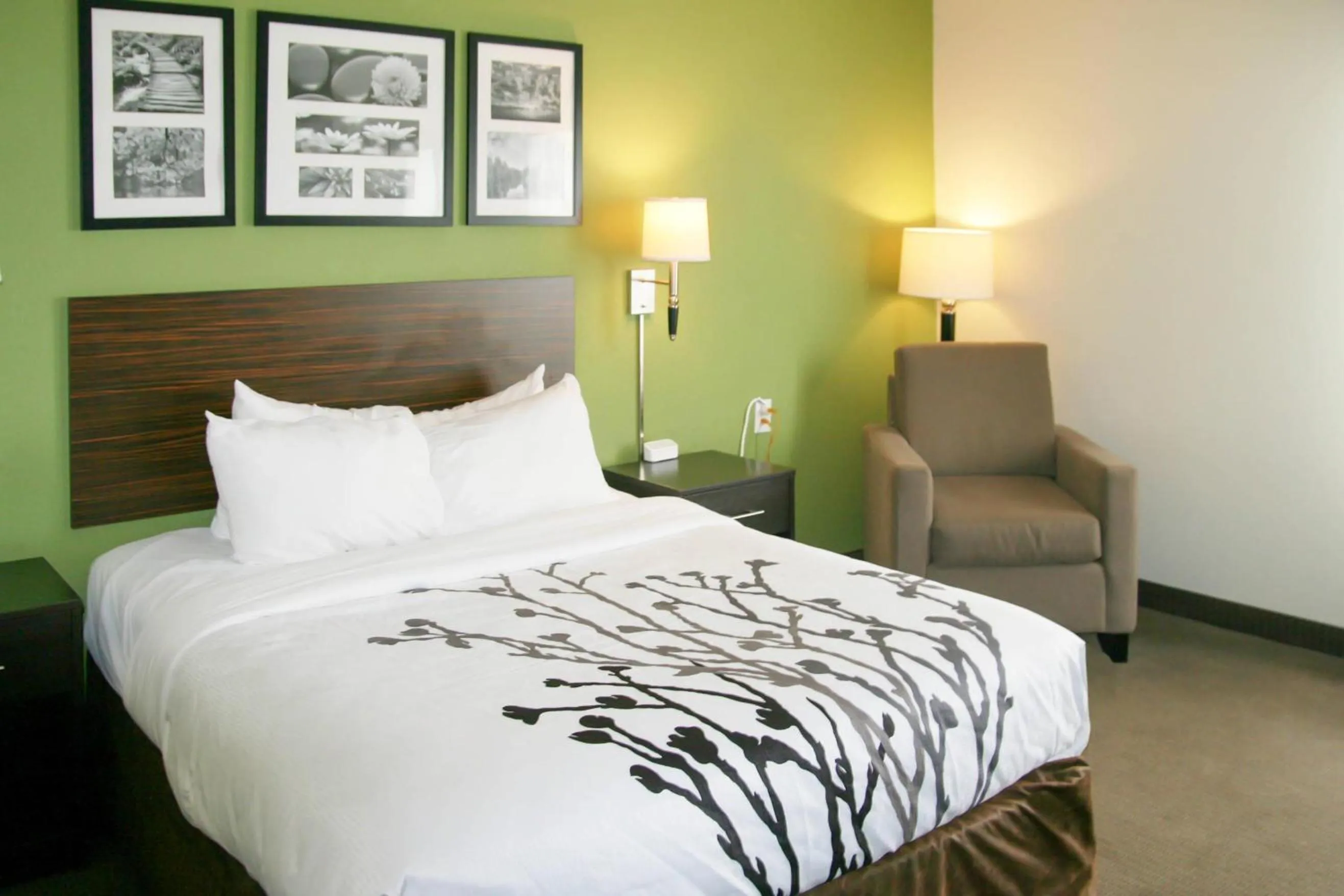 Bedroom, Bed in Sleep Inn & Suites Stony Creek - Petersburg South
