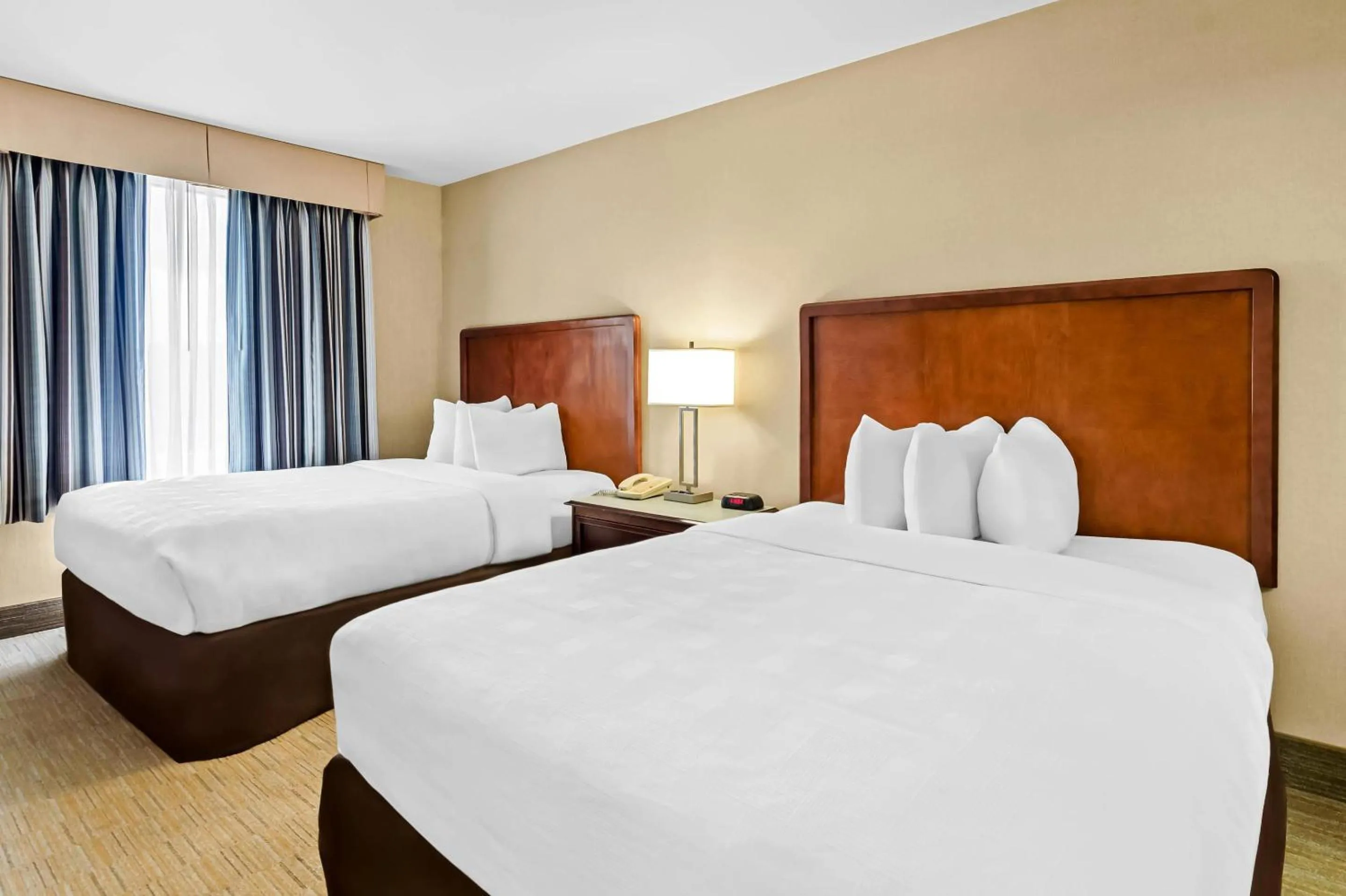 Bedroom, Bed in MainStay Suites Roanoke Airport