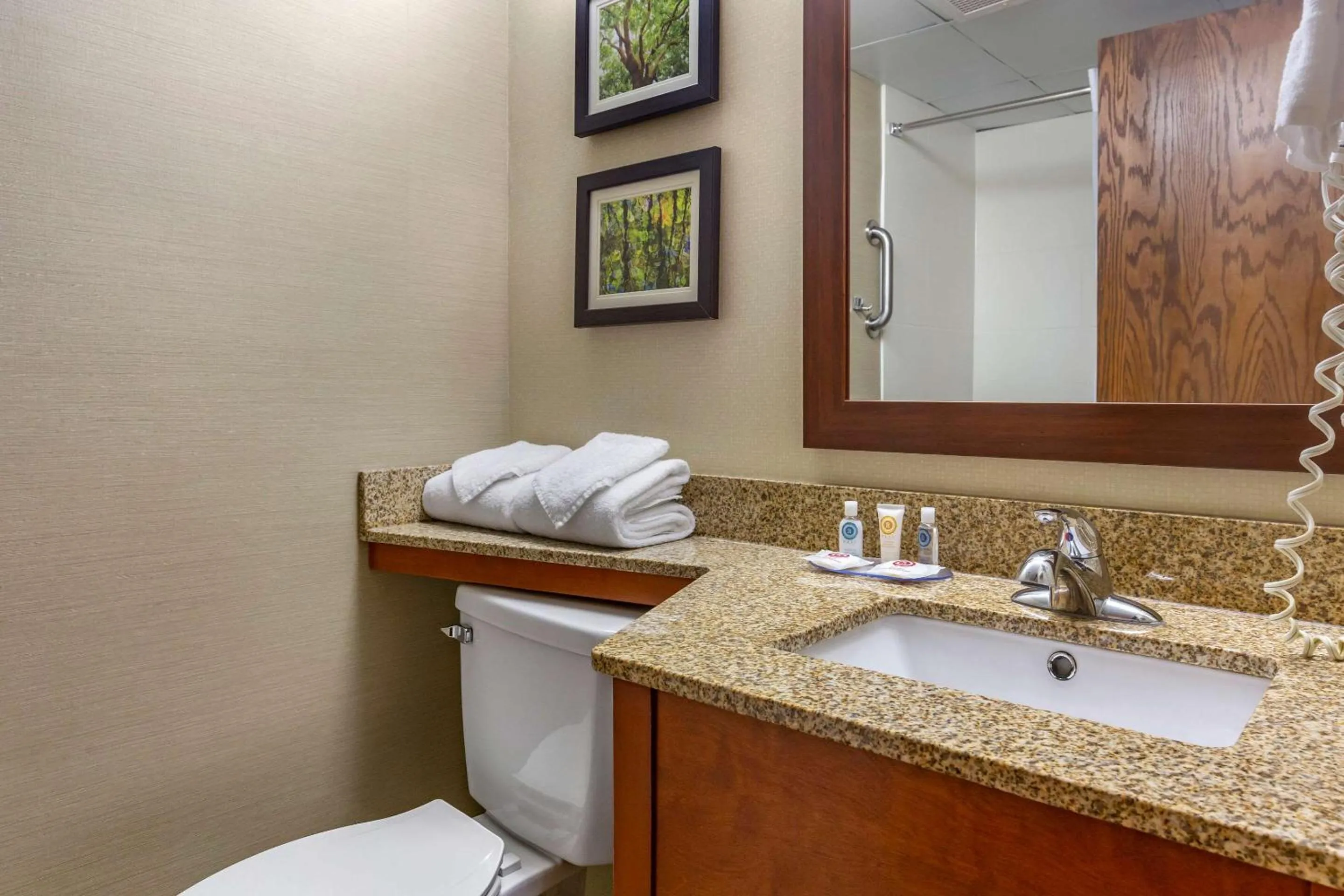 Bathroom in Comfort Inn & Suites near Danville Mall