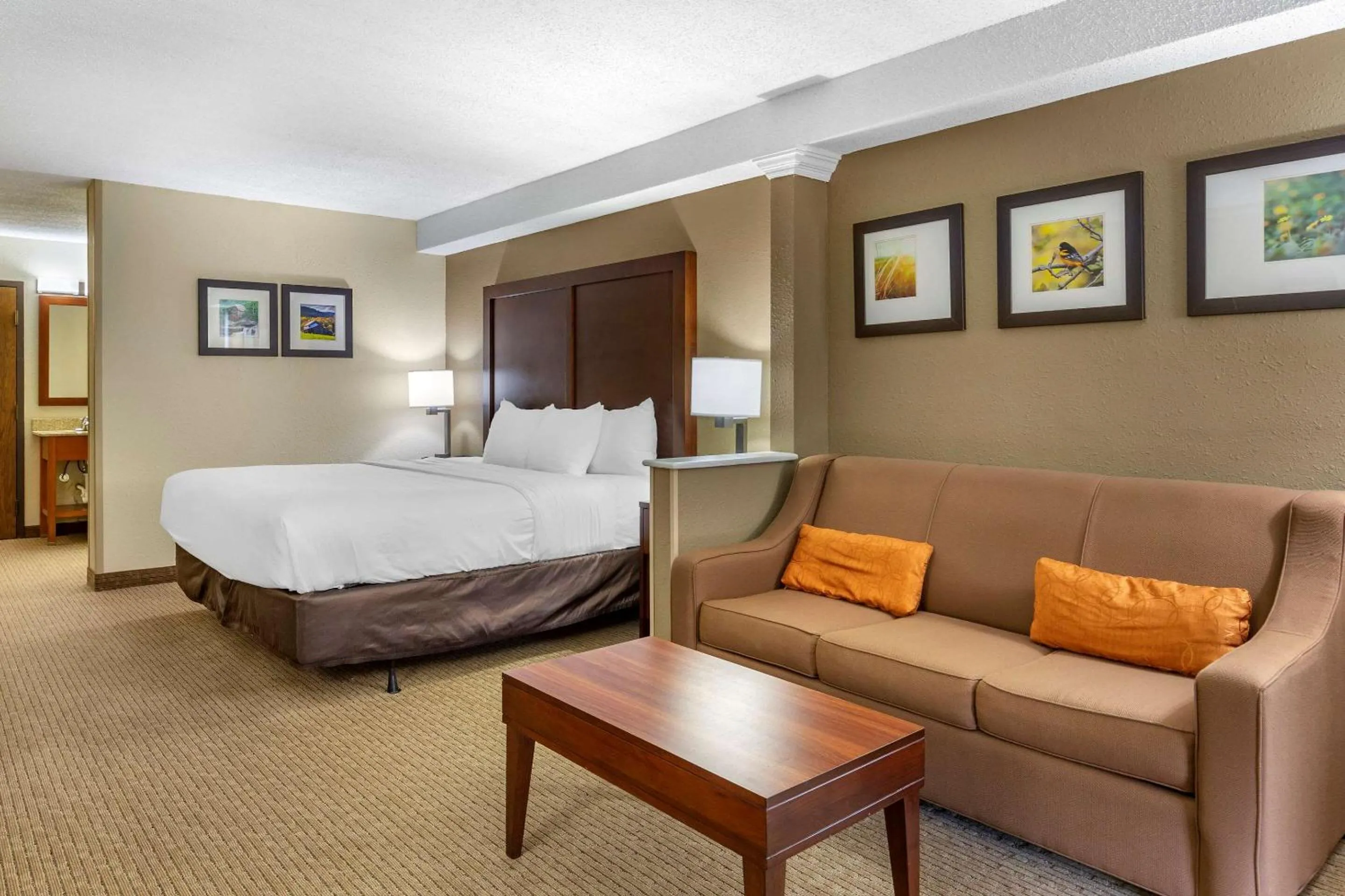 Photo of the whole room, Bed in Comfort Inn & Suites near Danville Mall