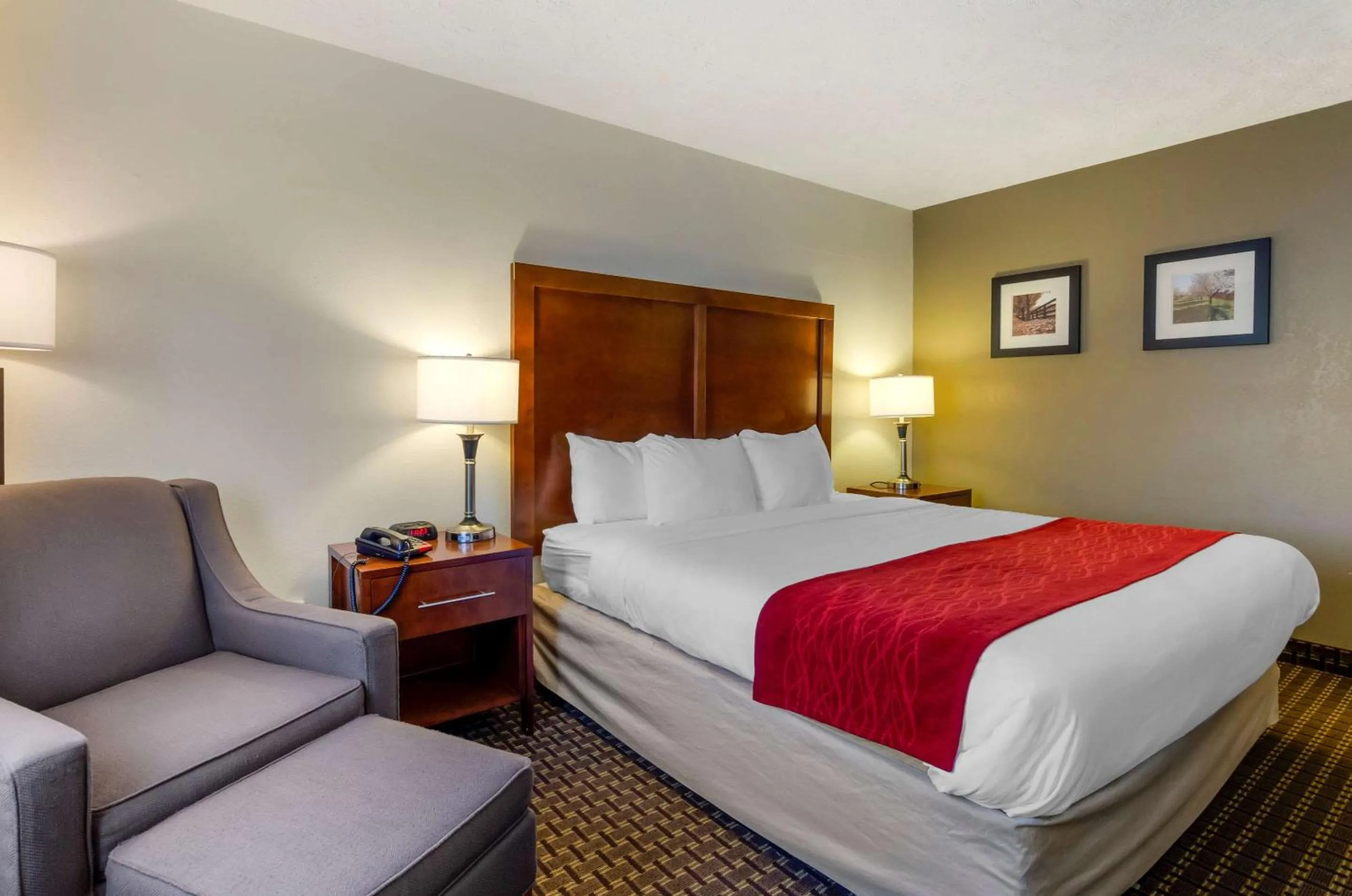 Photo of the whole room, Bed in Comfort Inn Atkins-Marion I-81