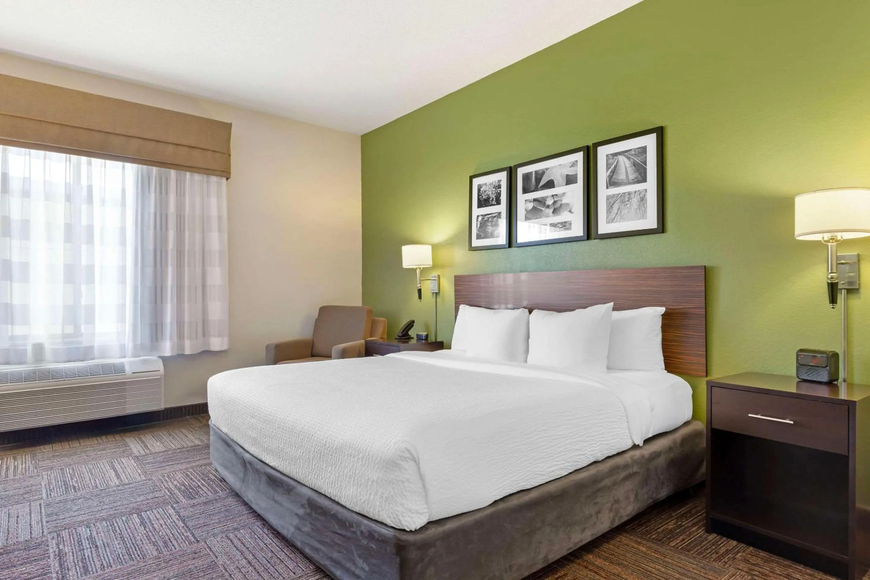 Bedroom, Bed in Sleep Inn & Suites Danville Hwy 58