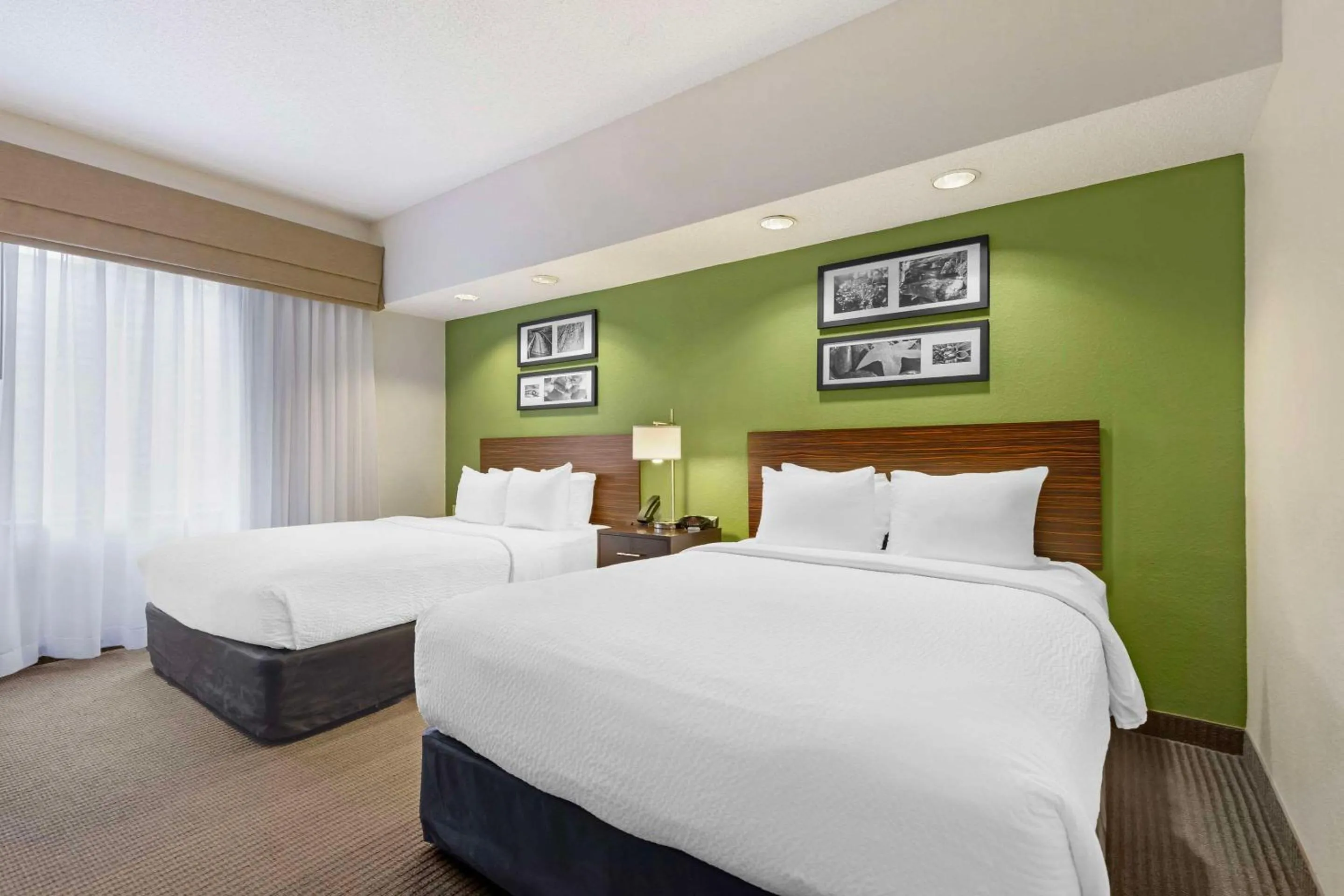 Bedroom, Bed in Sleep Inn & Suites Danville Hwy 58