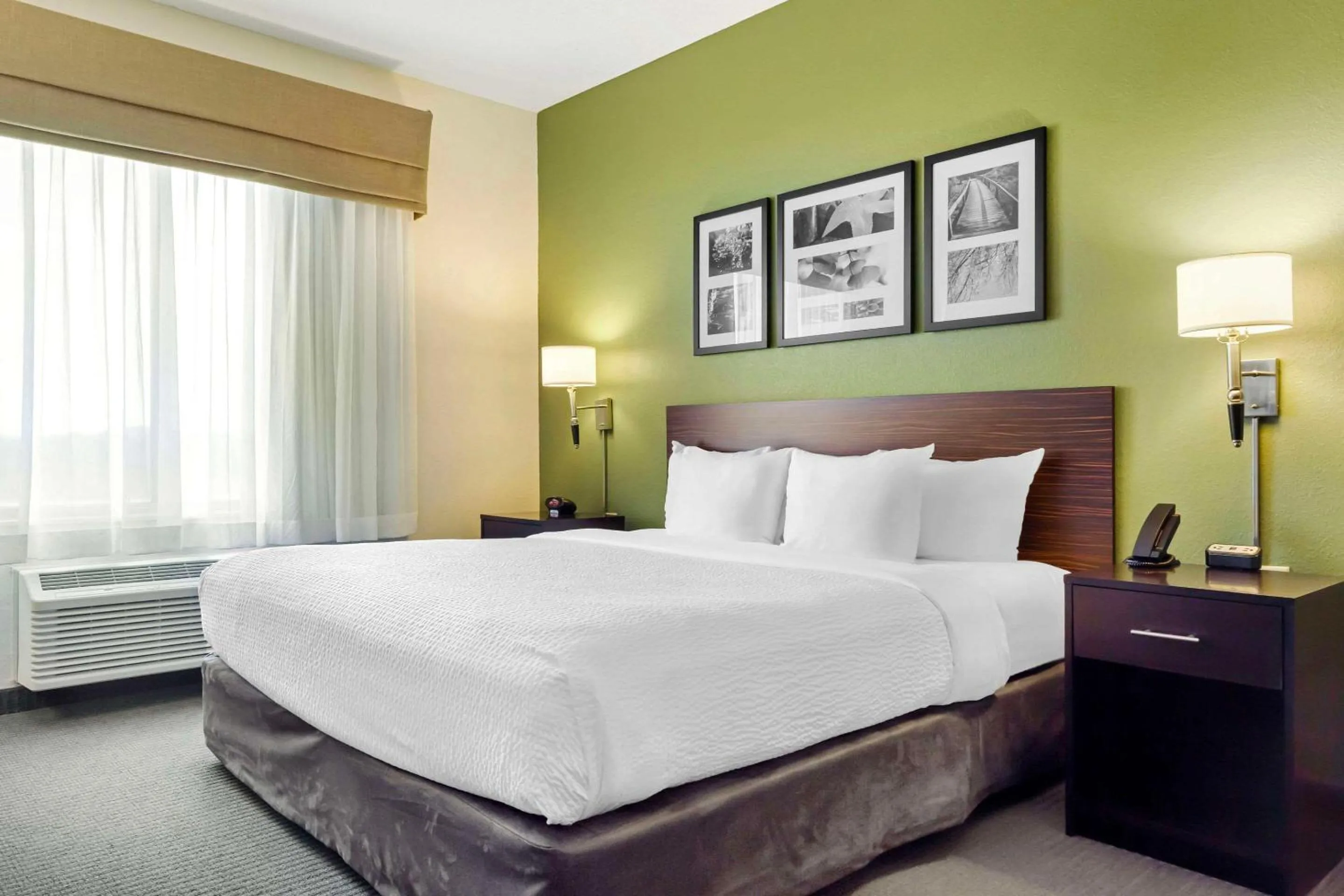 Bedroom, Bed in Sleep Inn & Suites Danville Hwy 58