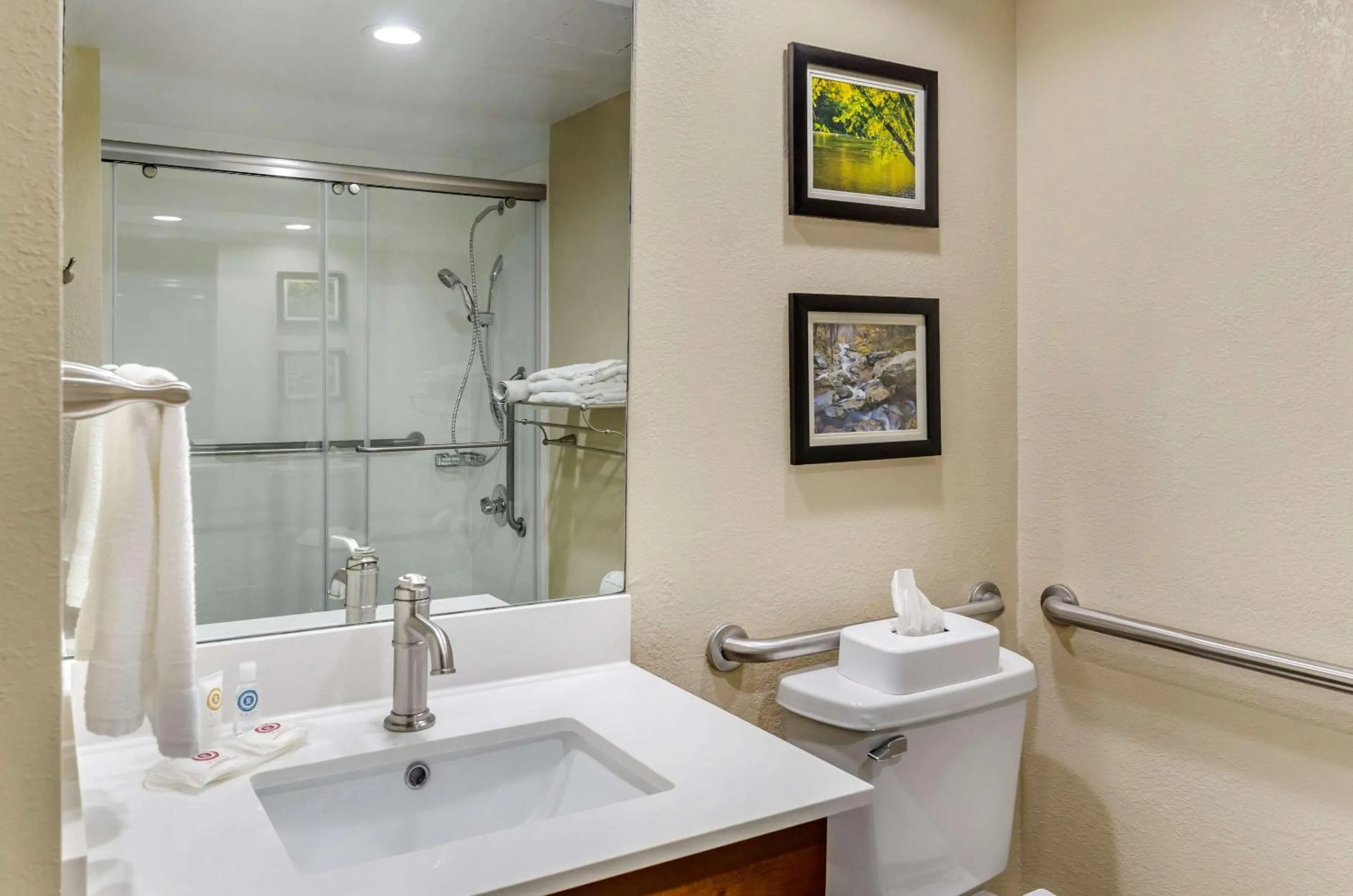 Bathroom in Comfort Inn Waynesboro