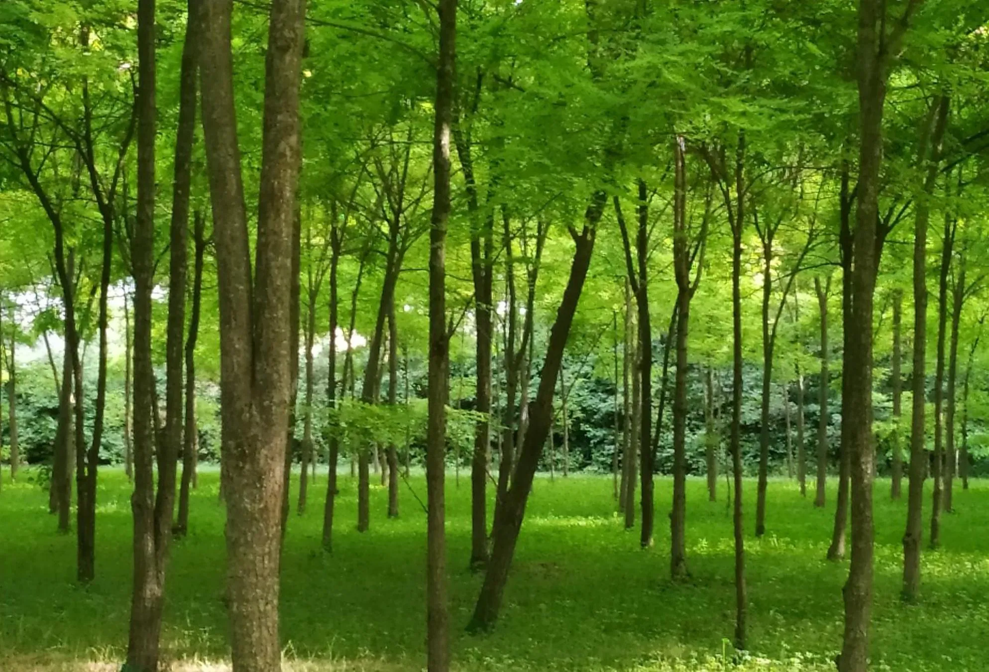 View (from property/room) in B&B Villa Elisa