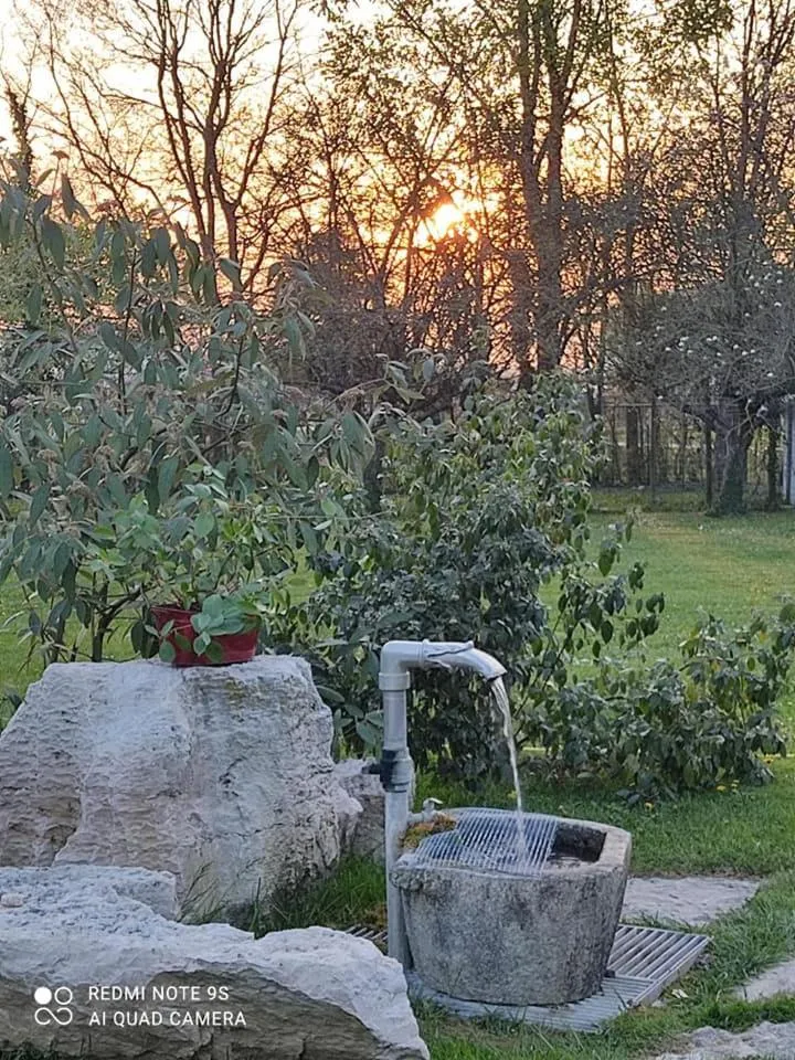 Garden in B&B Villa Elisa