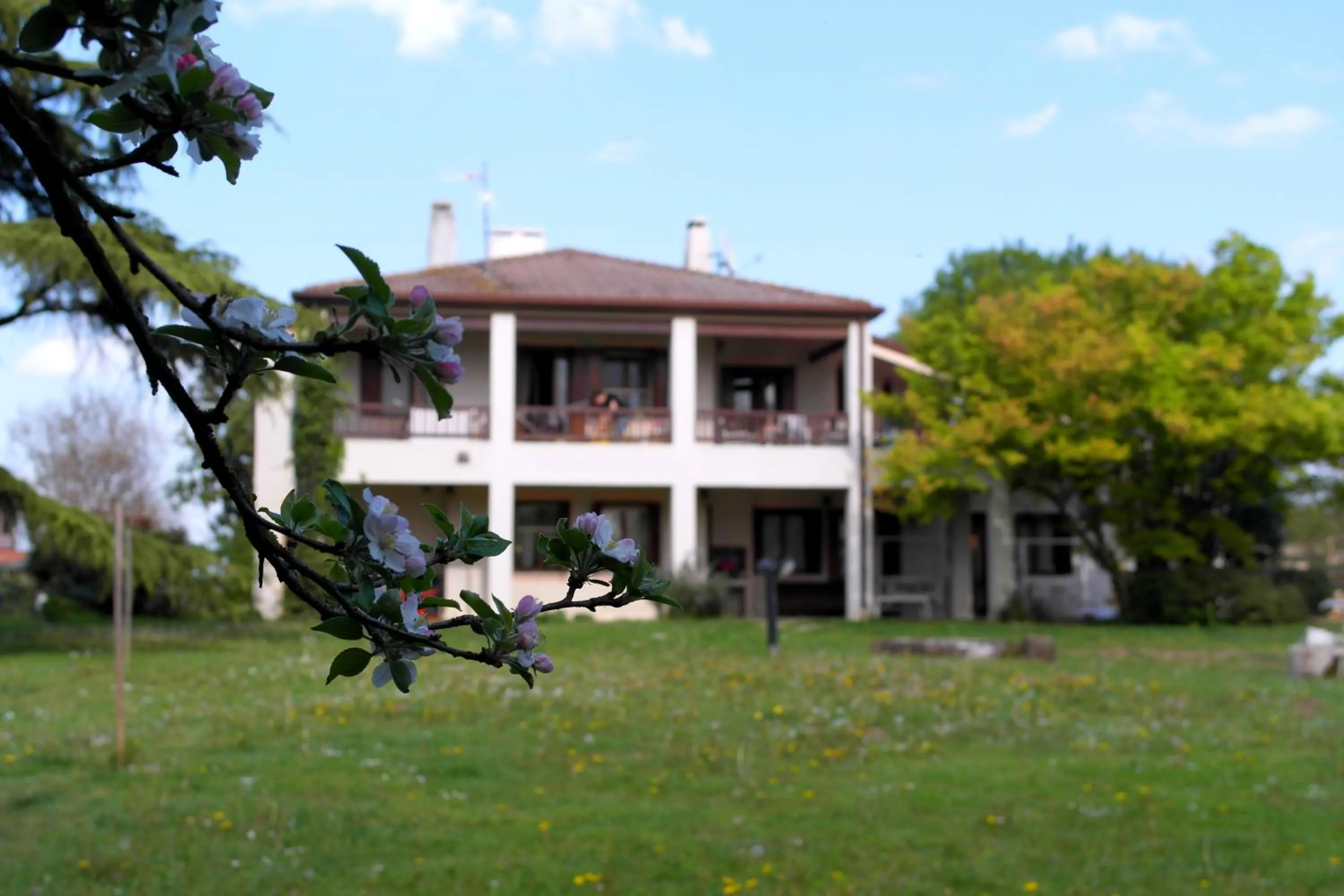 Property building in B&B Villa Elisa