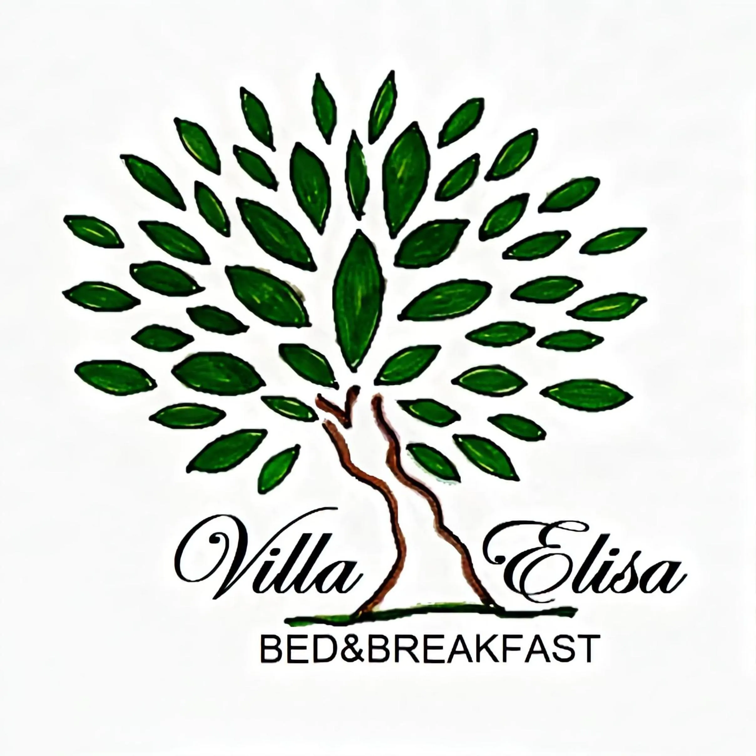 Logo/Certificate/Sign in B&B Villa Elisa