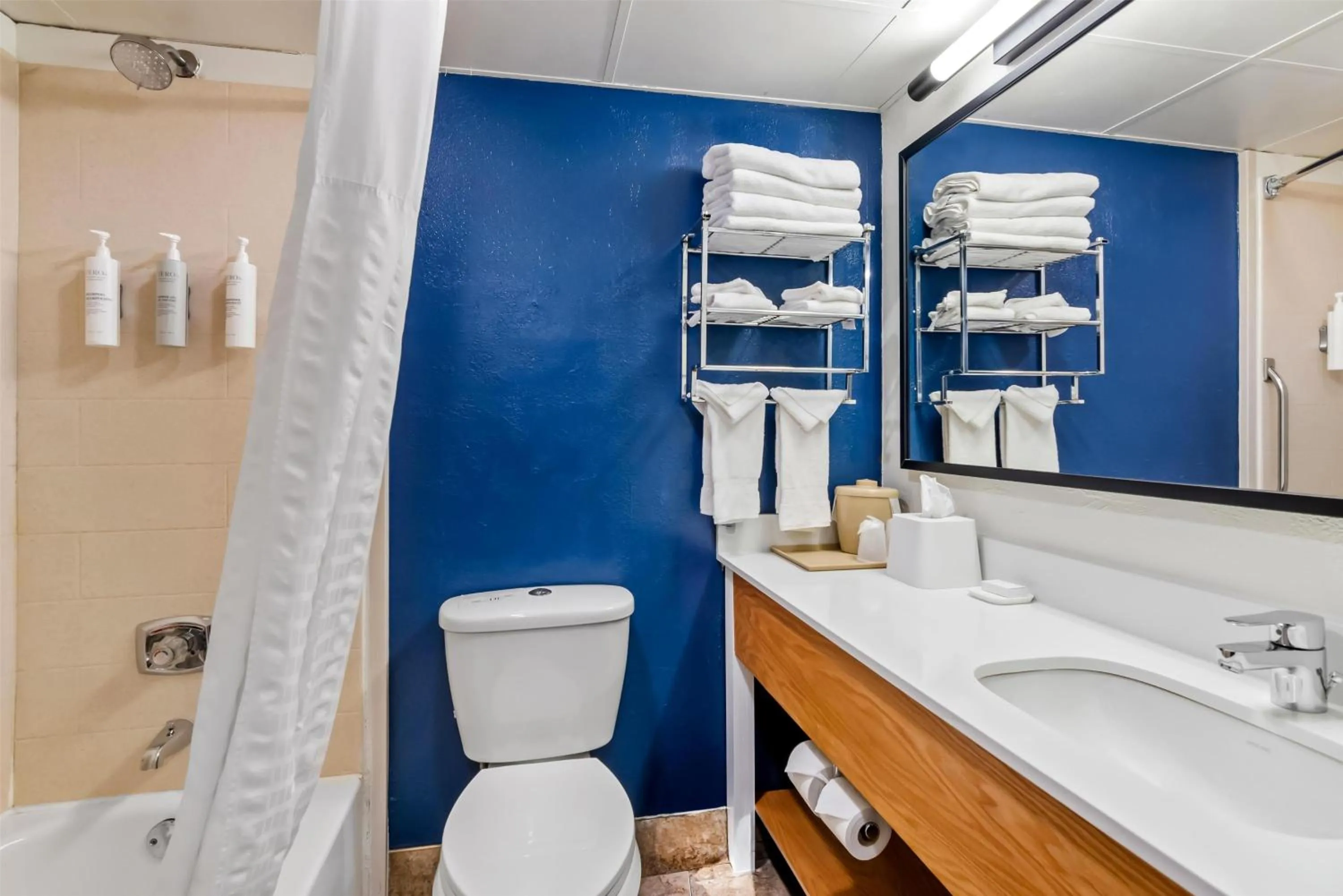 Bathroom in Spark by Hilton Wytheville Holston Rd I 81