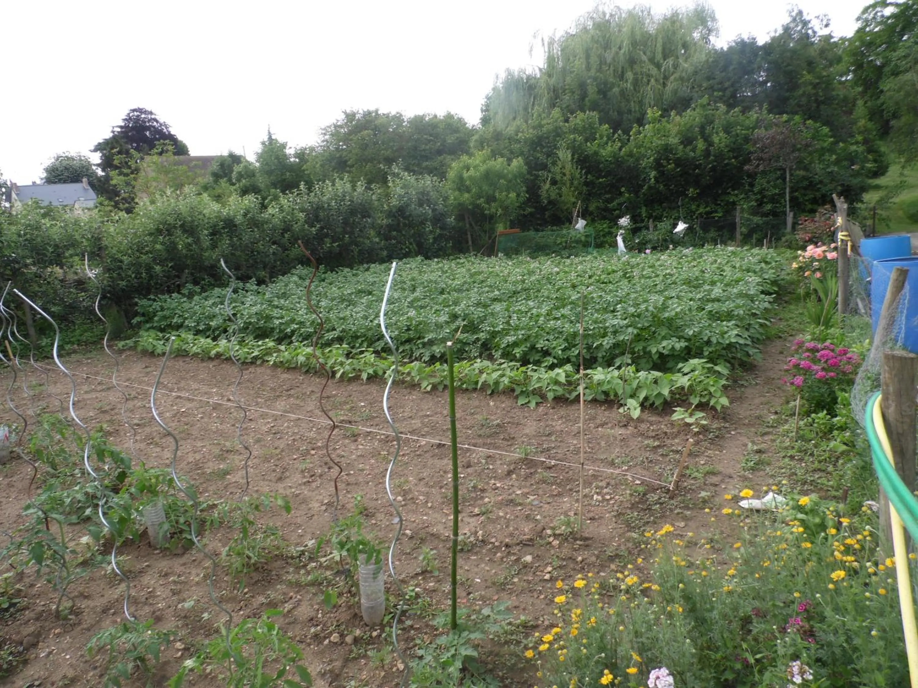 Garden in AU PARFUM DES LAVANDES
