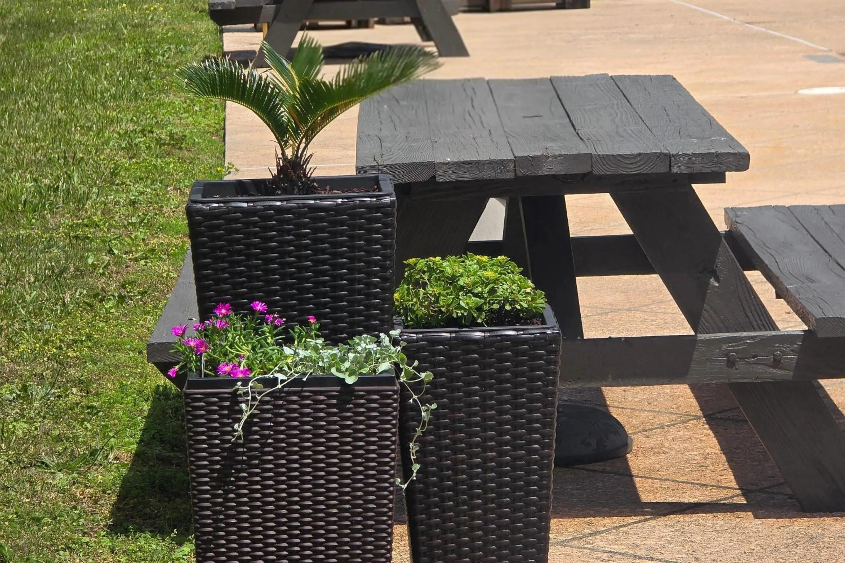 Other in Quality Inn Dublin I-81