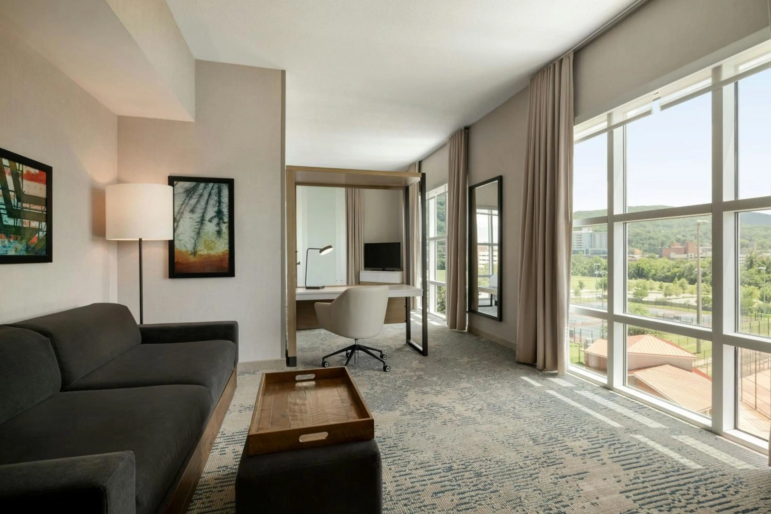 Photo of the whole room in SpringHill Suites by Marriott Roanoke