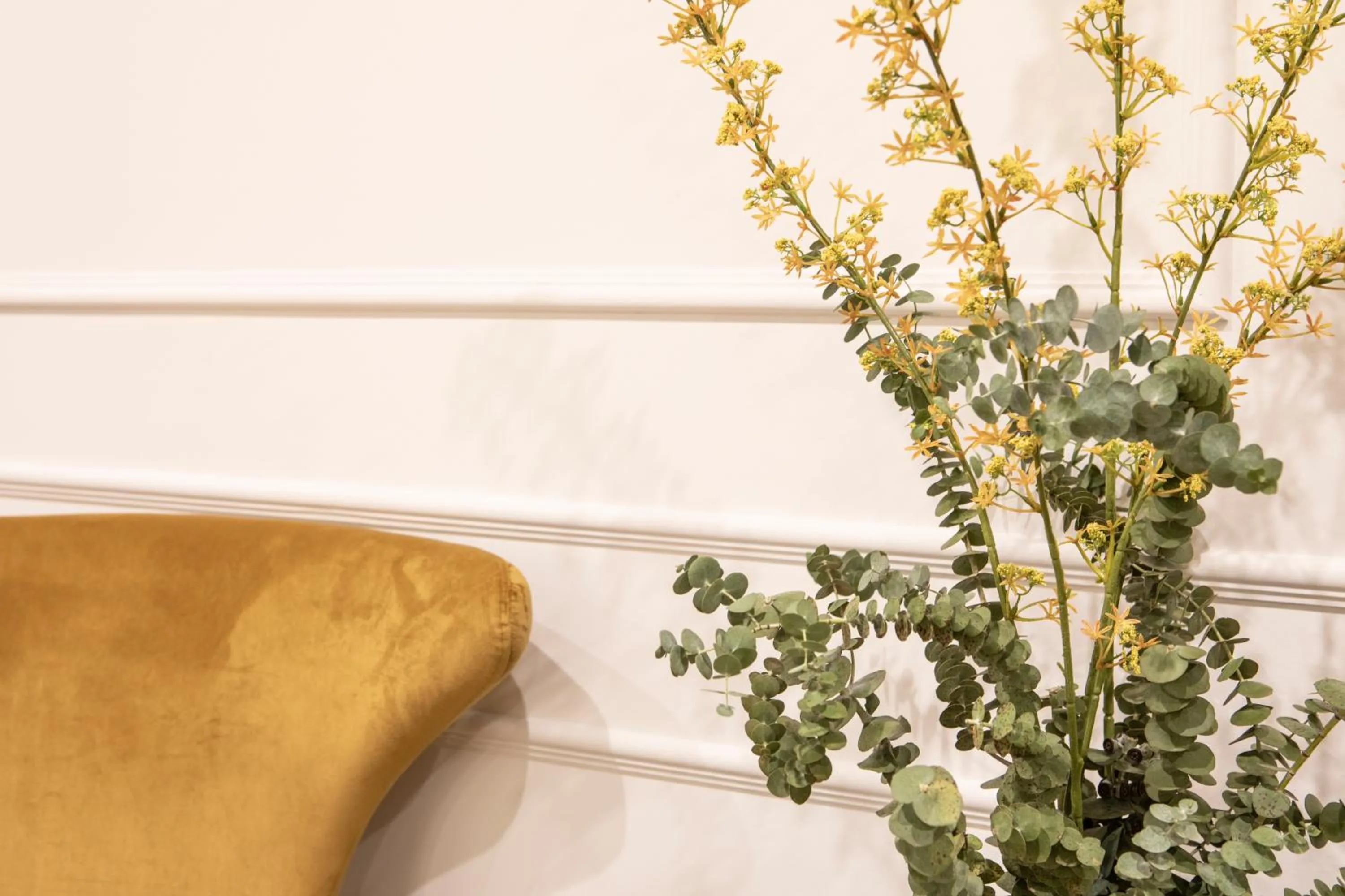 Lobby or reception in Blanq Comedias