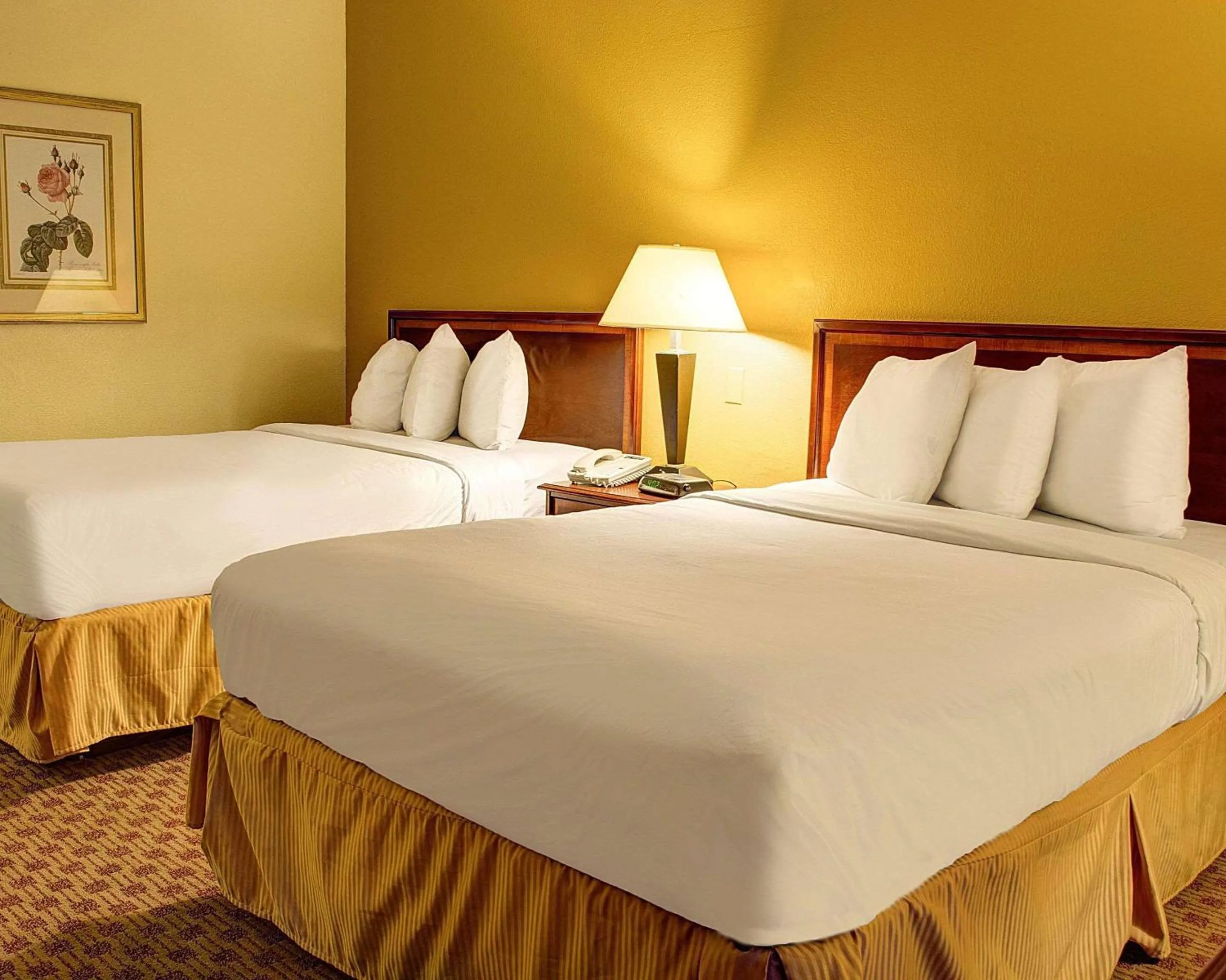 Photo of the whole room, Bed in Quality Inn North