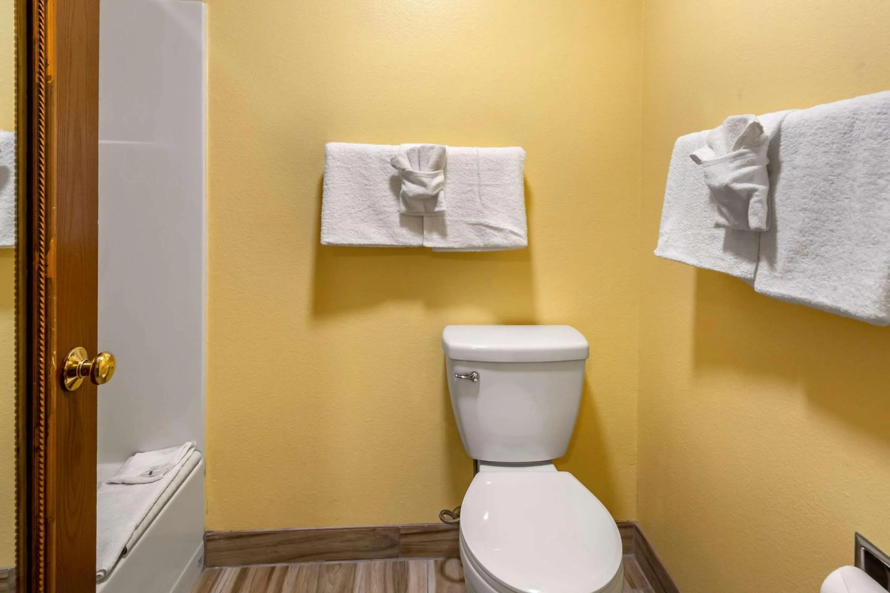 Bathroom in Quality Inn Paradise Creek