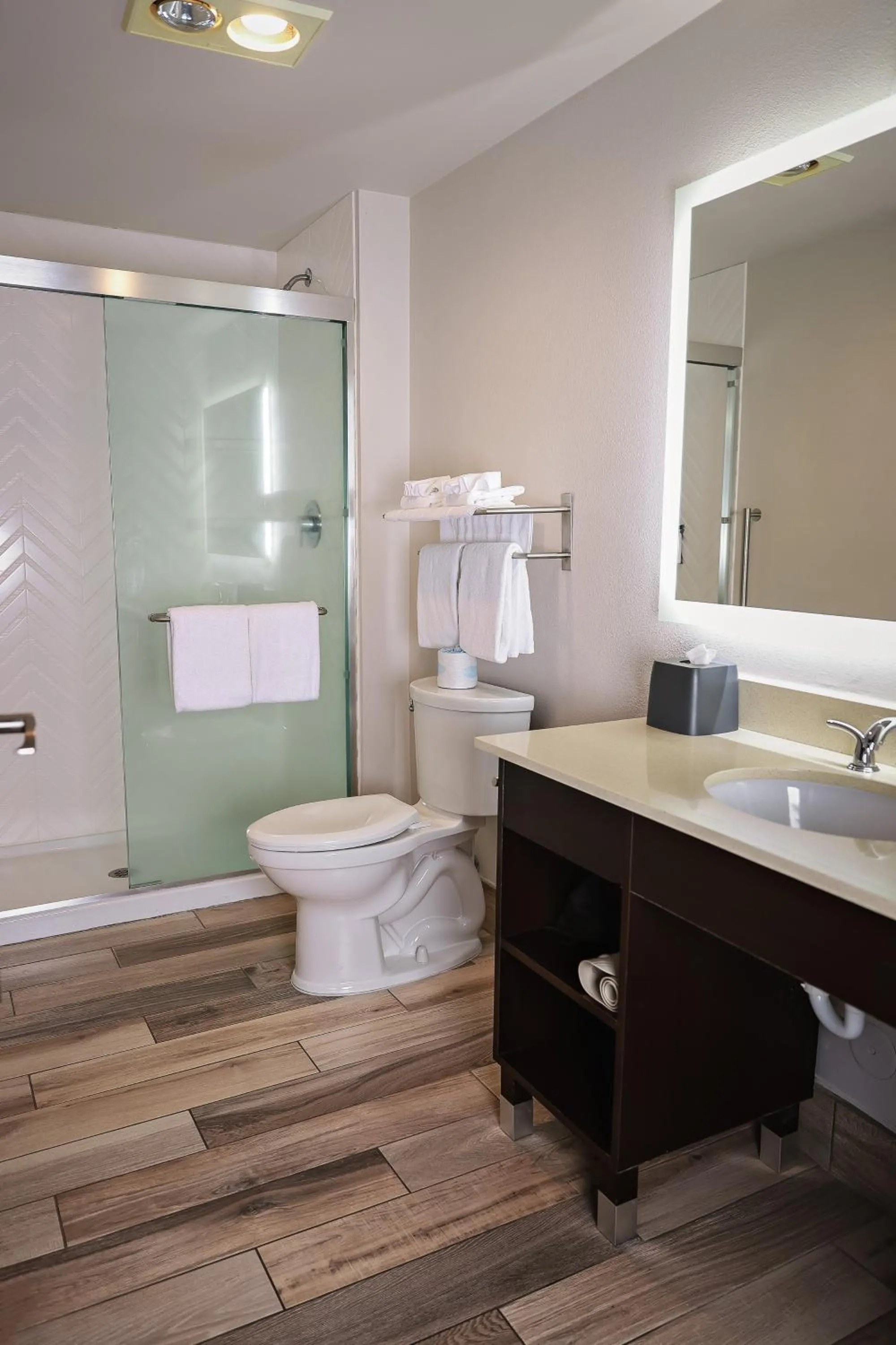 Shower in Holiday Inn Clarkston - Lewiston by IHG