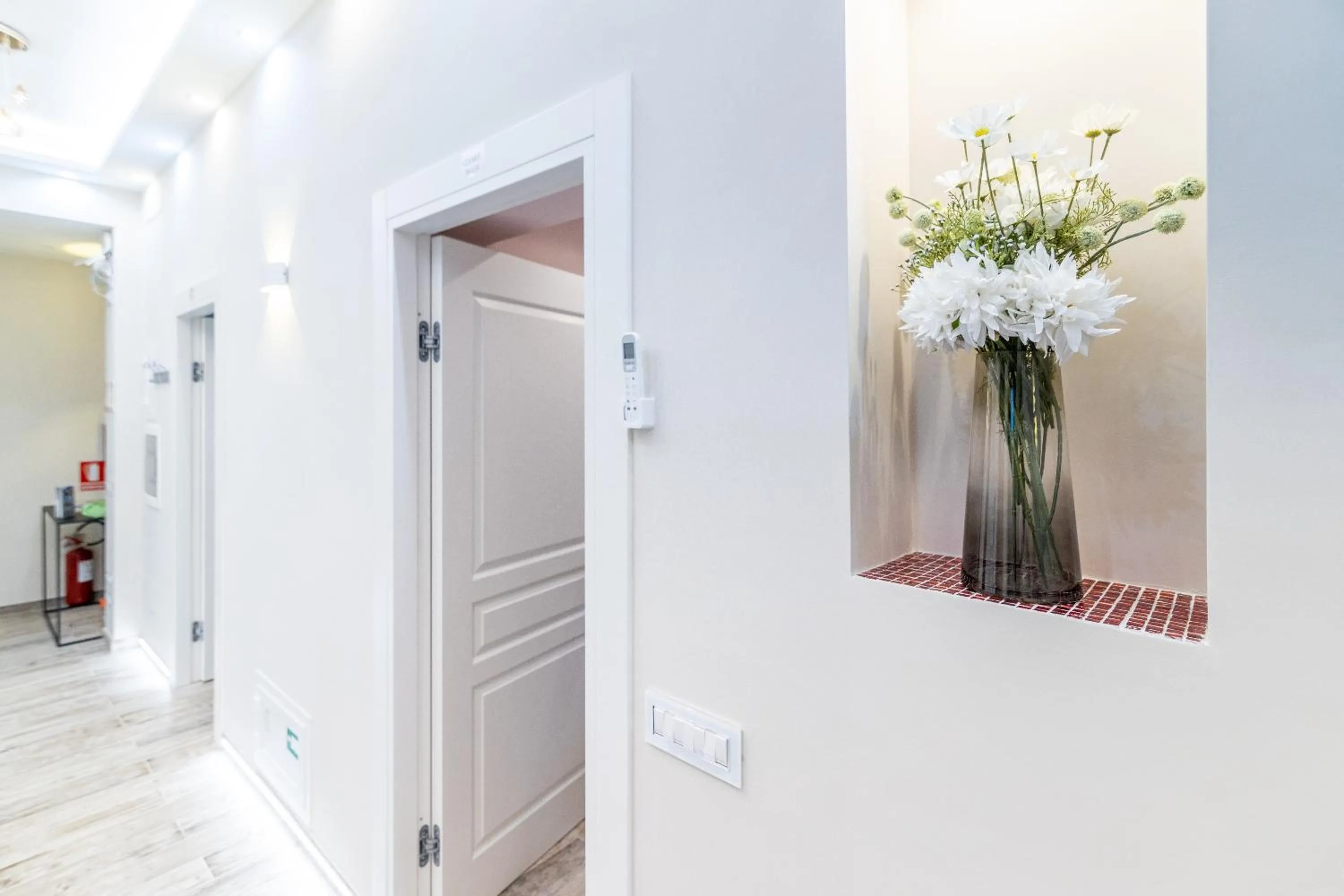 Zeus Inn - Una finestra sul Vaticano