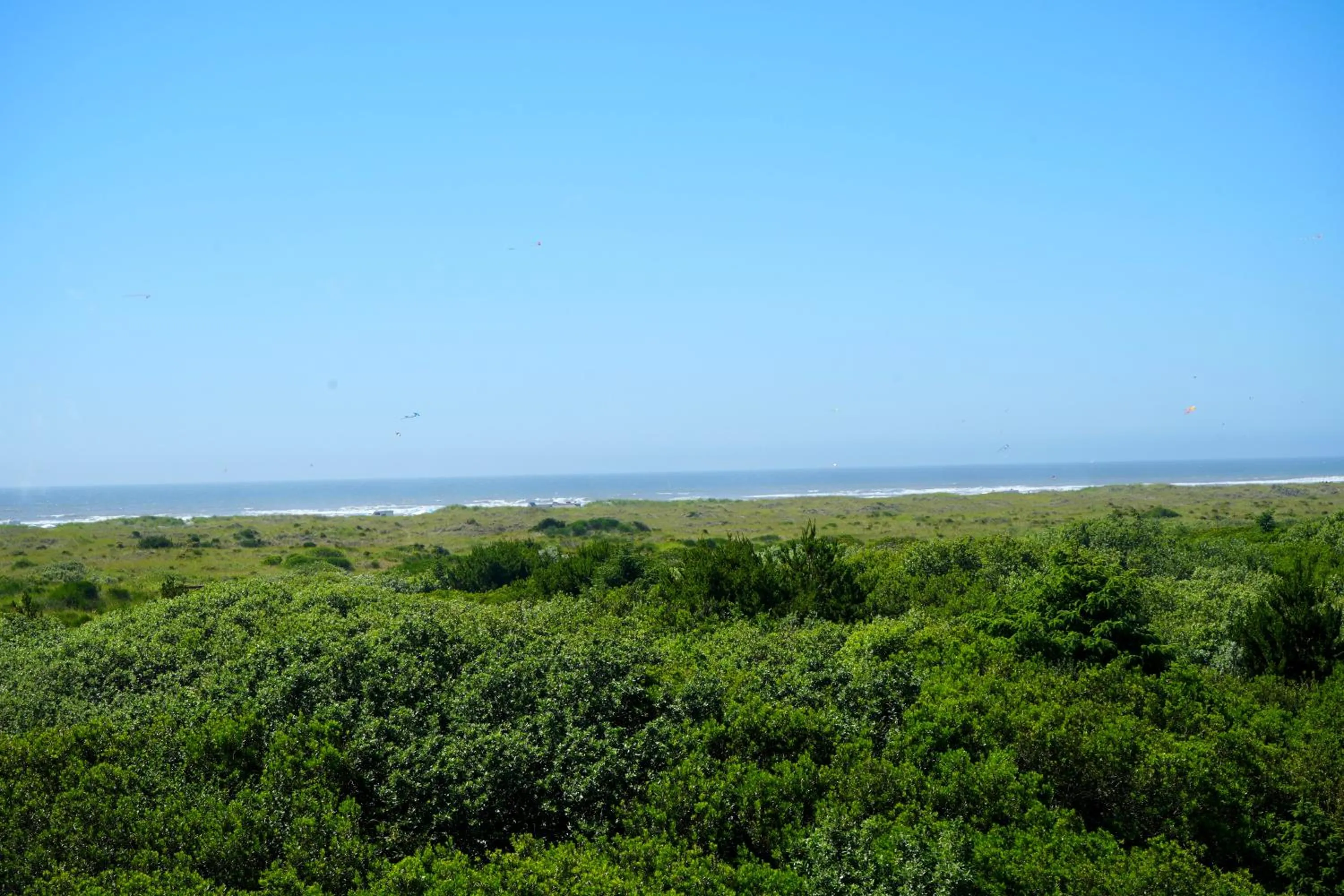 Ocean Paradise Hotel & Resort