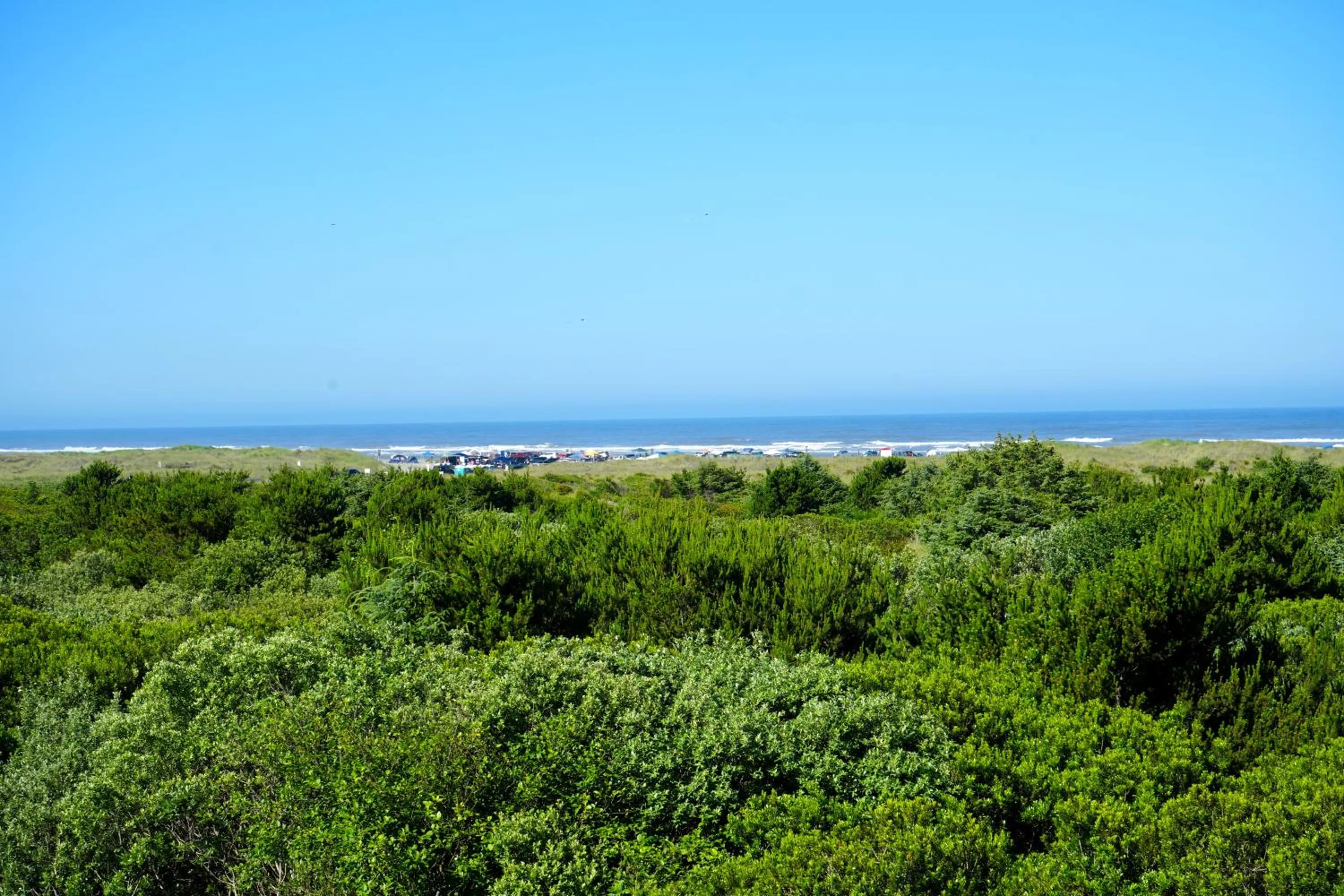 Coratel Inn and Suites By Jasper Ocean Shores