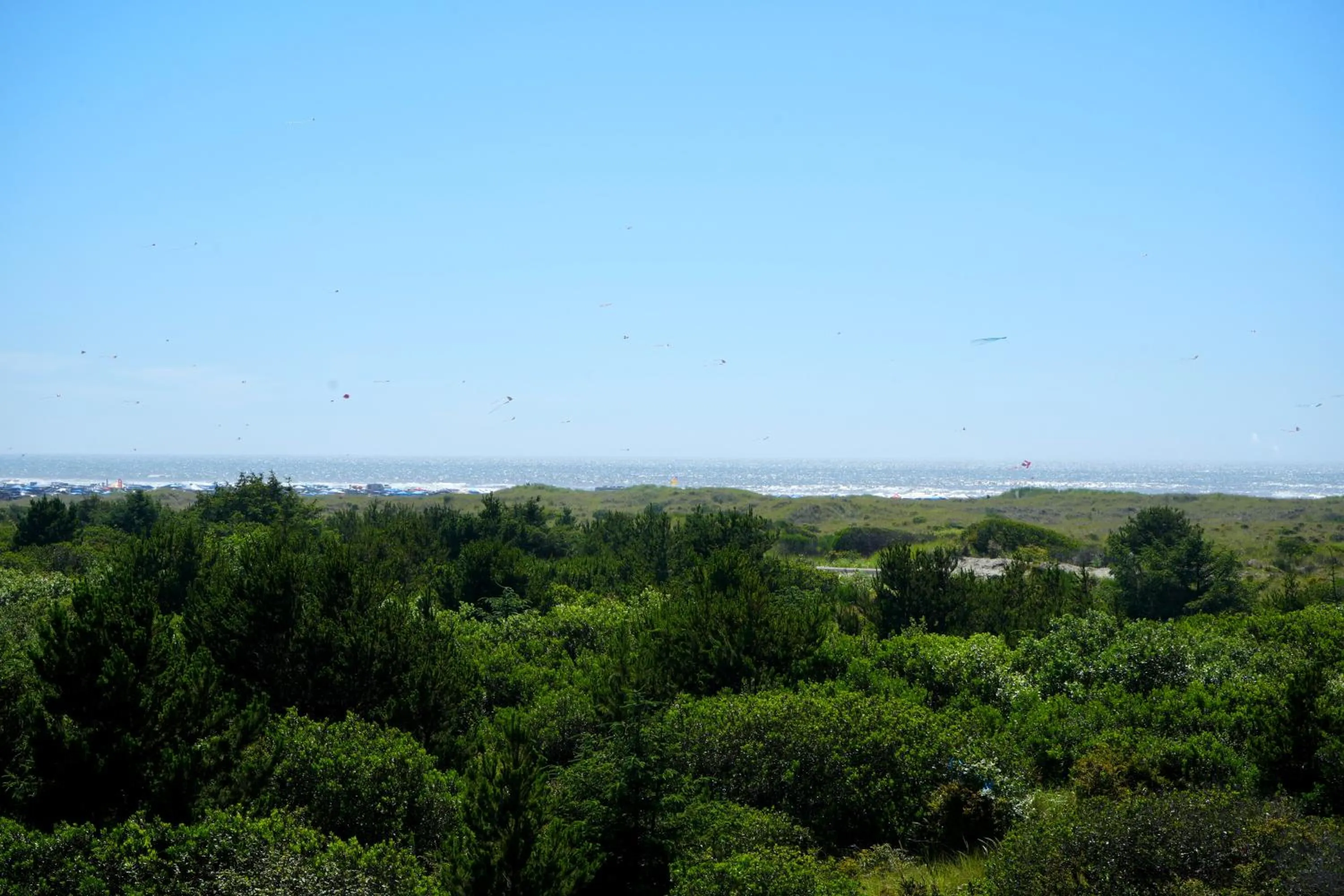 Coratel Inn and Suites By Jasper Ocean Shores
