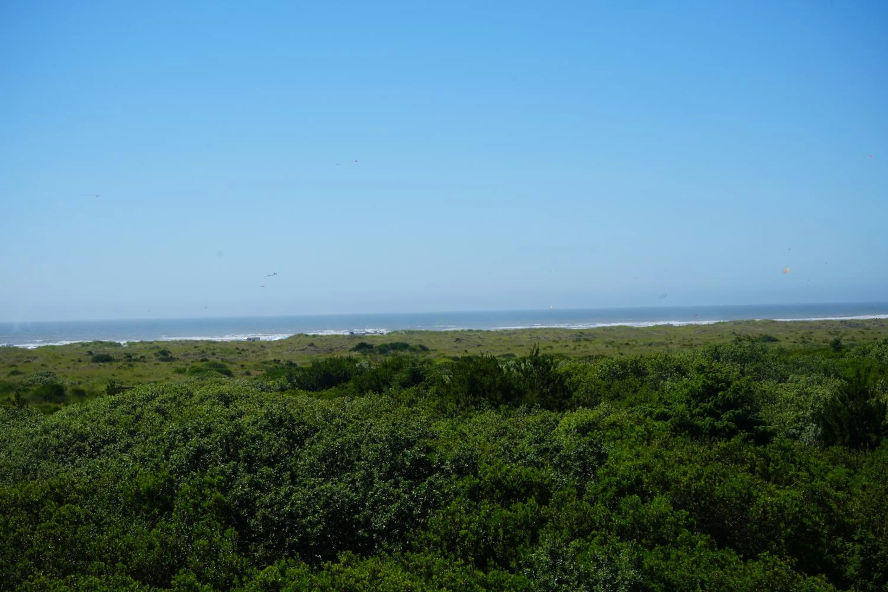 Beach in Ocean Paradise Hotel & Resort