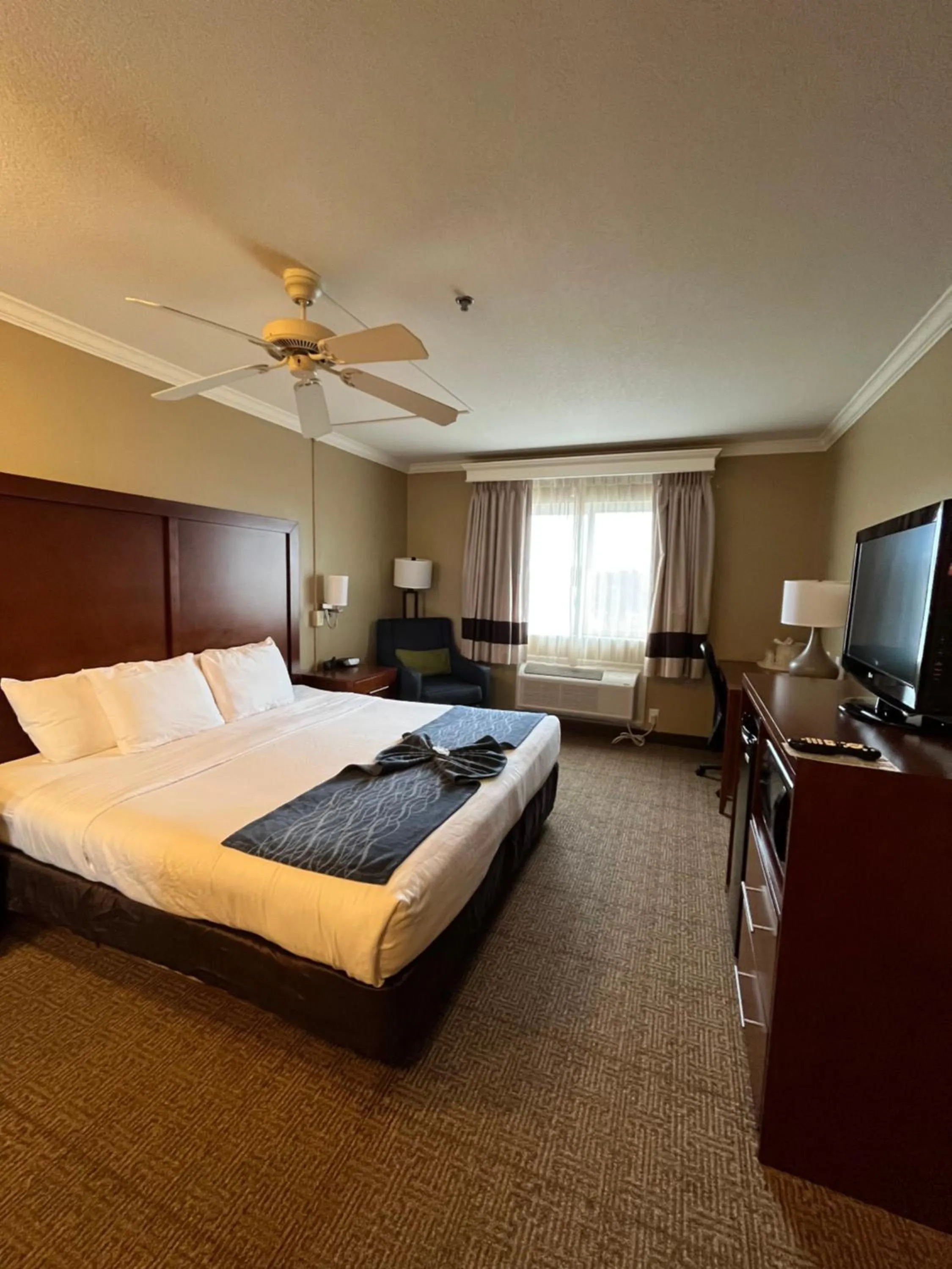 Photo of the whole room, Bed in Comfort Inn & Suites Ocean Shores