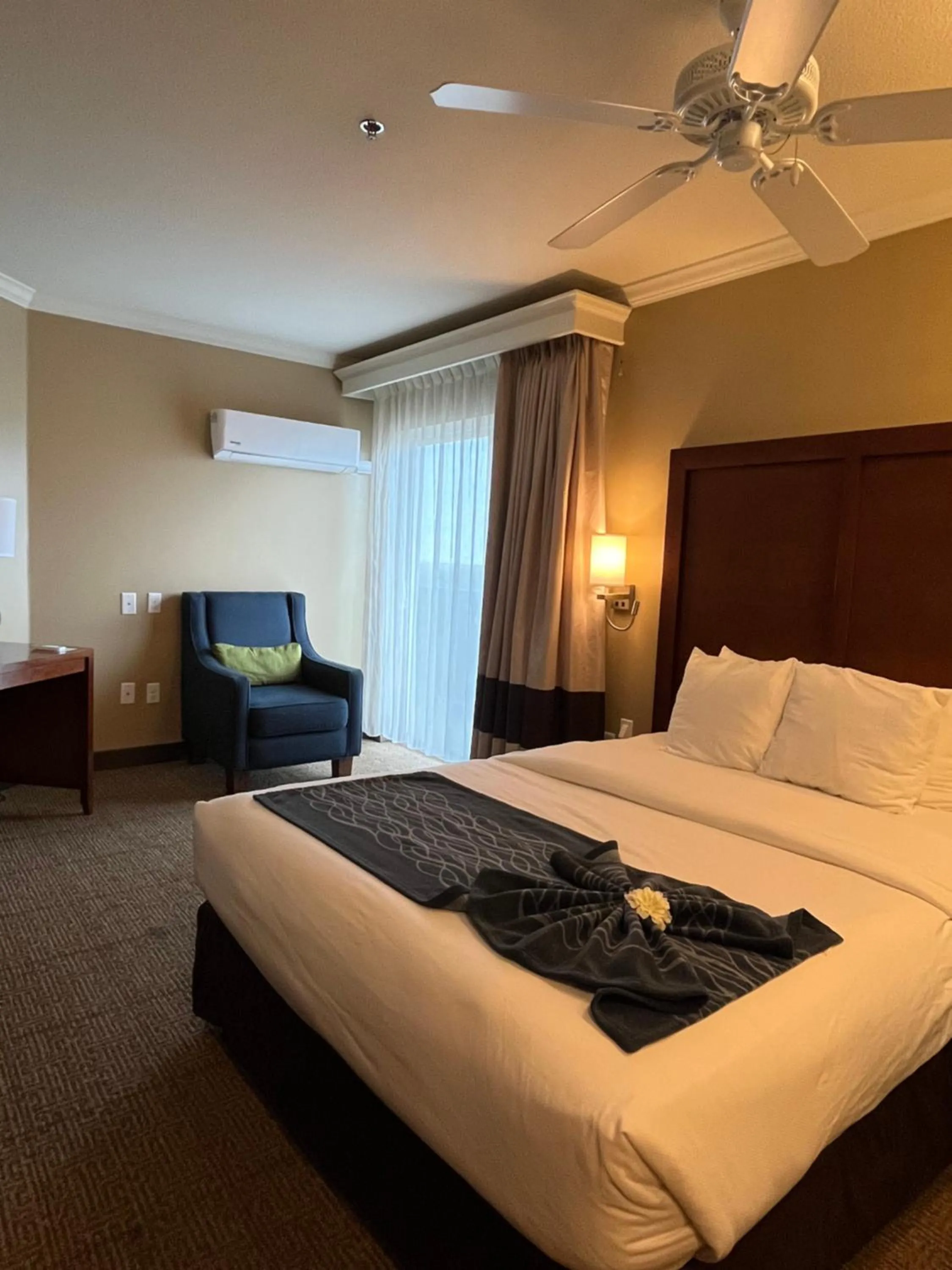 Bedroom, Bed in Comfort Inn & Suites Ocean Shores