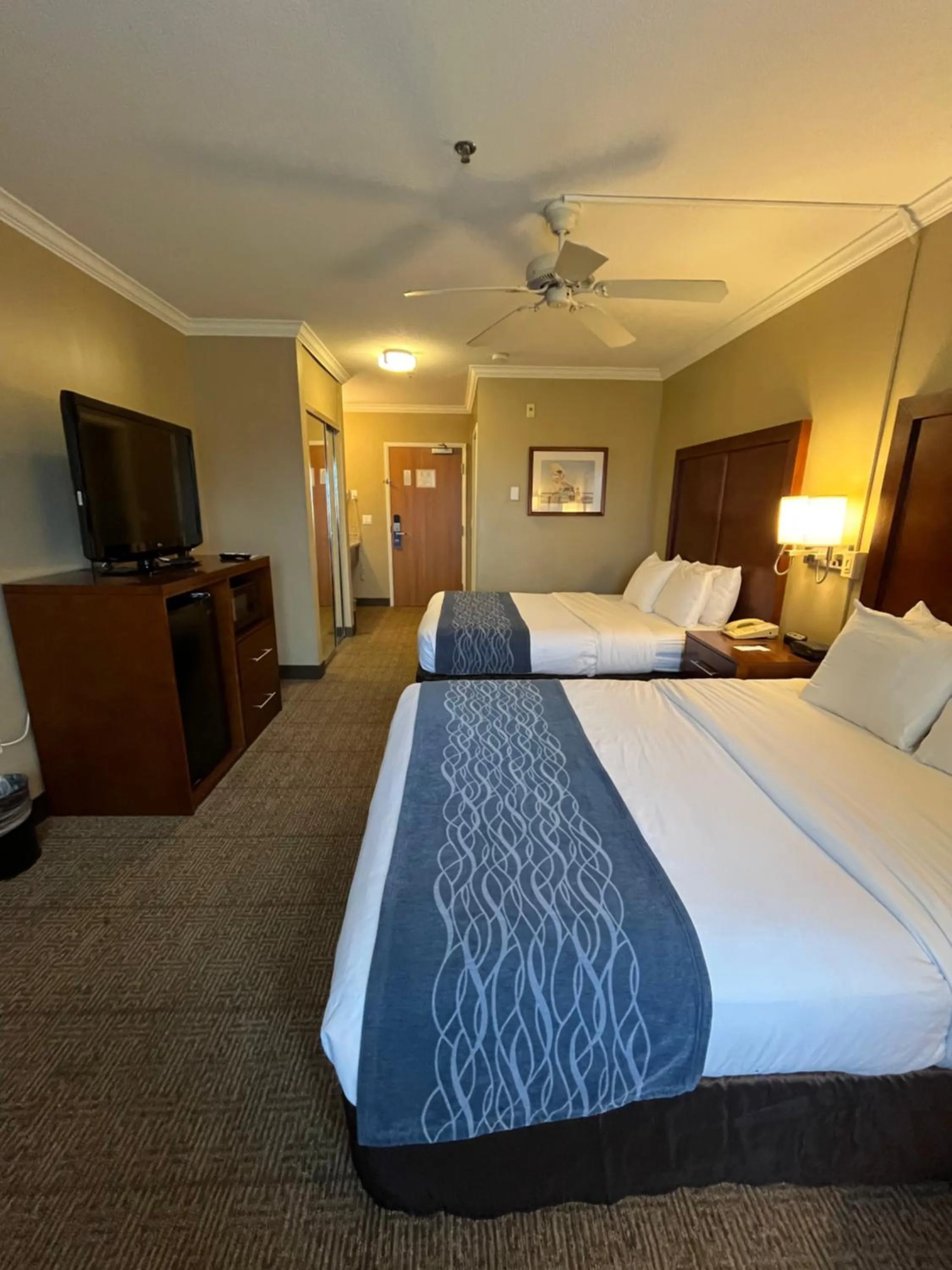 Bedroom, Bed in Comfort Inn & Suites Ocean Shores