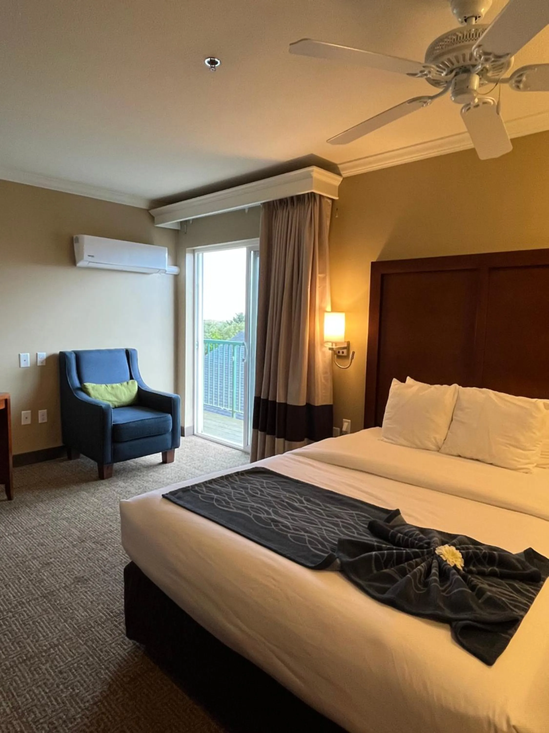 Bedroom, Bed in Comfort Inn & Suites Ocean Shores