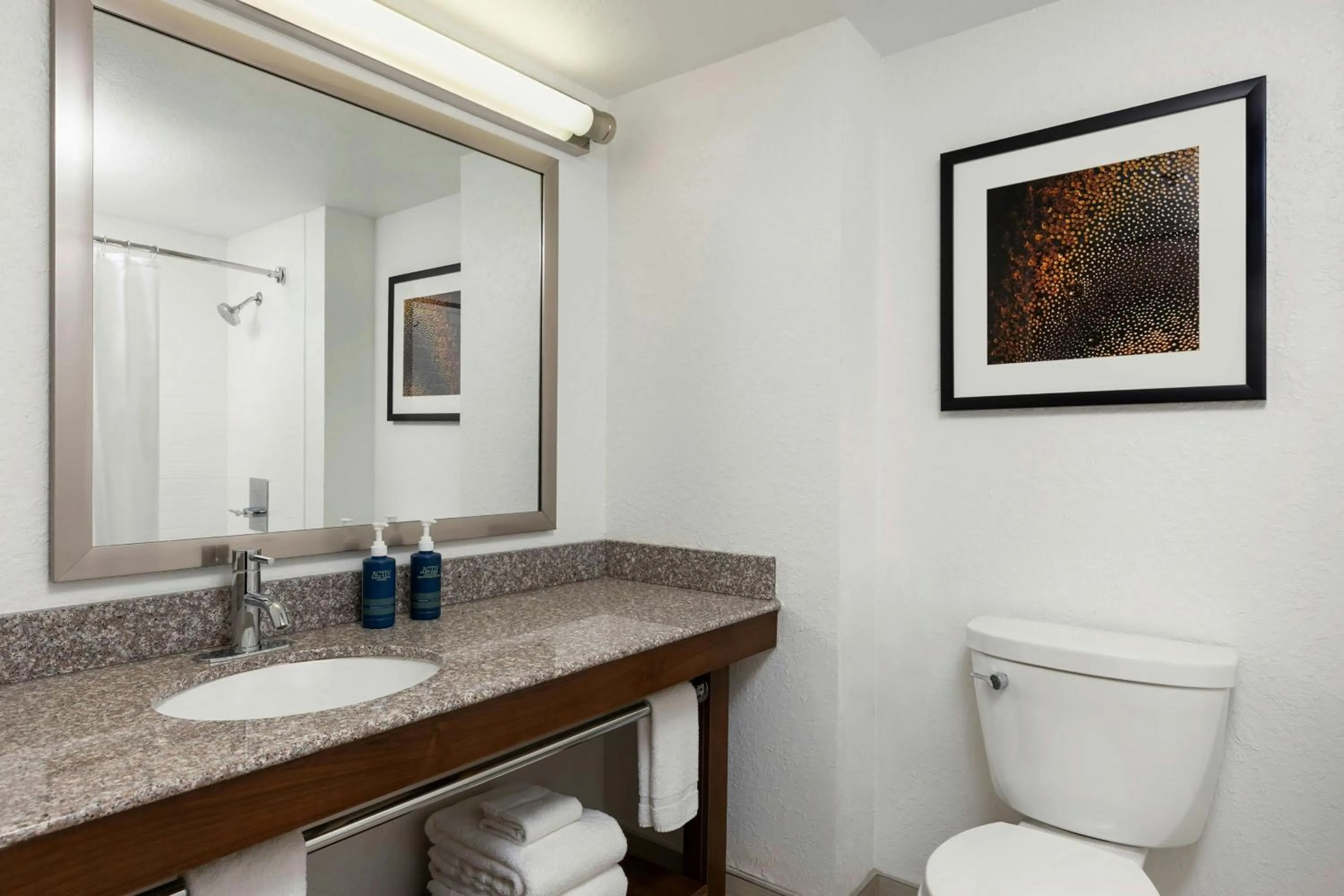 Bathroom in Four Points by Sheraton Milwaukee Airport