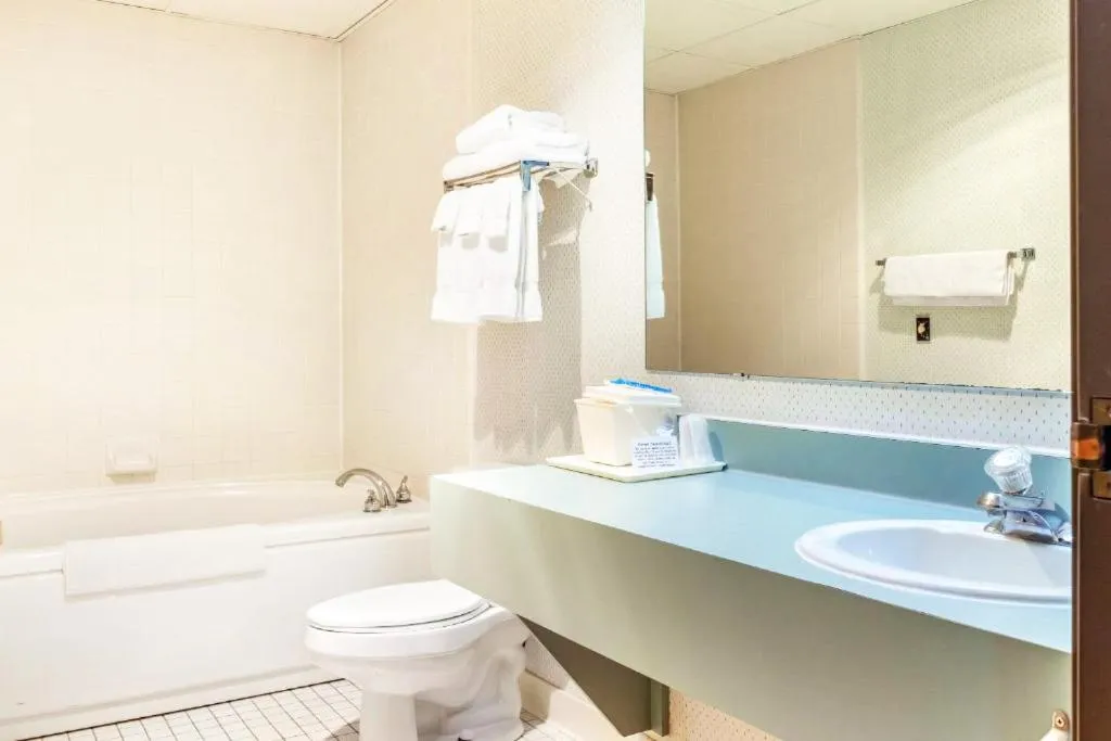 Bathroom in Econo Lodge Wausau - Rothschild