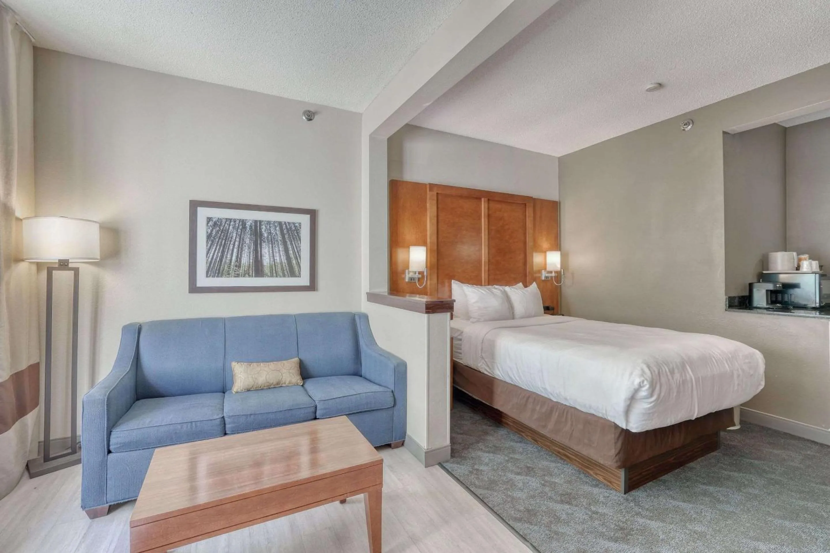 Bedroom, Bed in Comfort Suites Appleton Airport