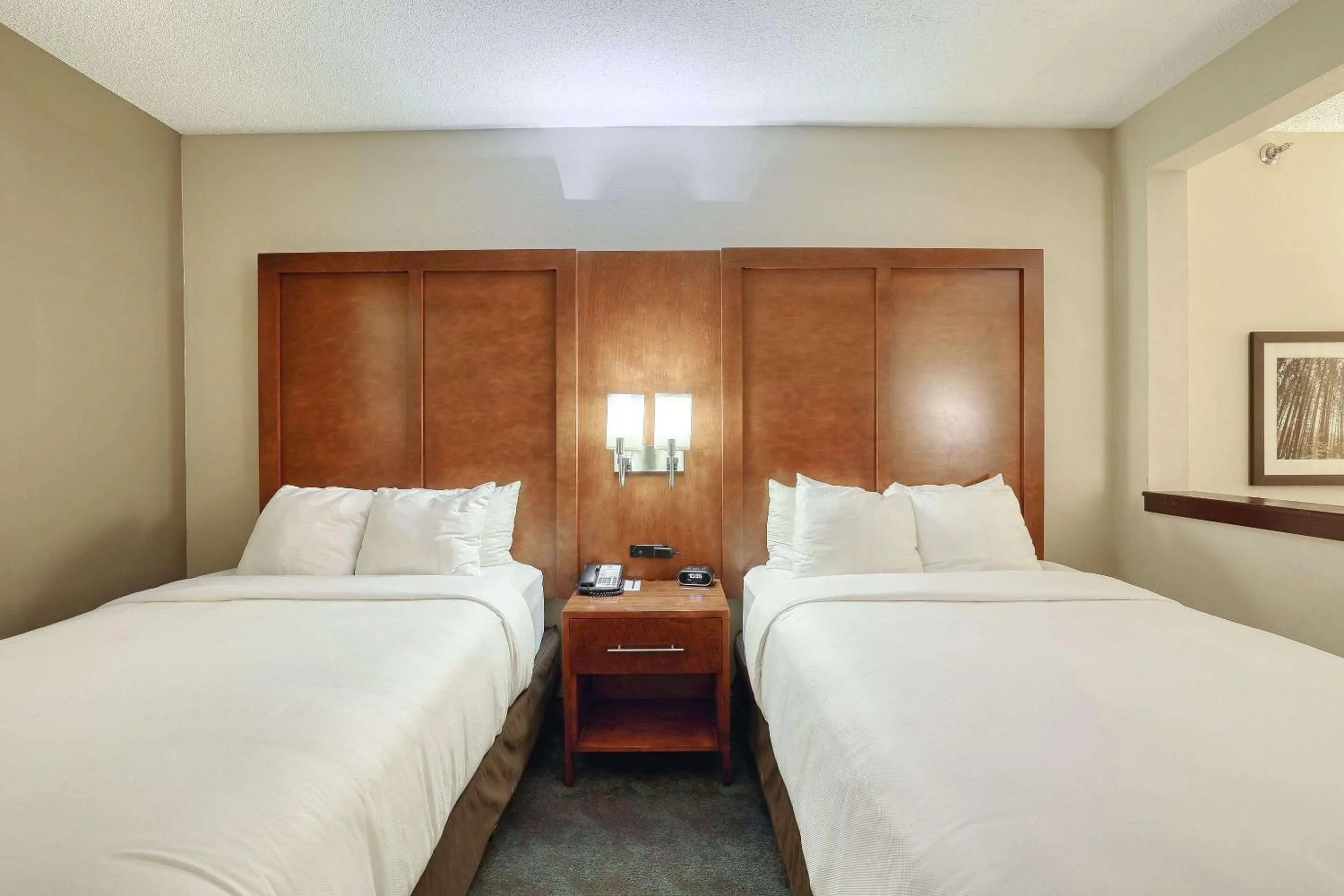 Bedroom, Bed in Comfort Suites Appleton Airport