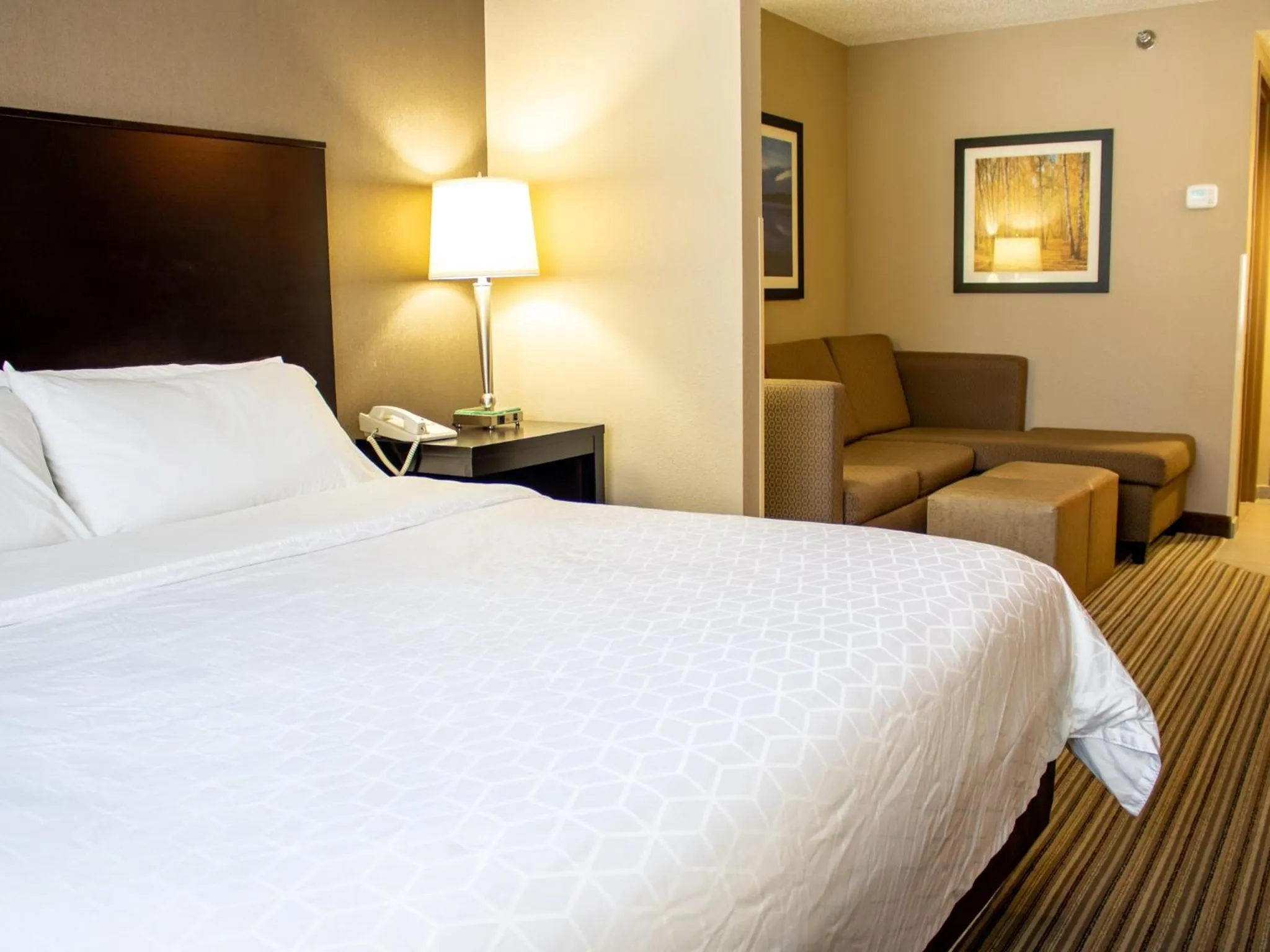 Photo of the whole room, Bed in Holiday Inn Express & Suites Hayward by IHG