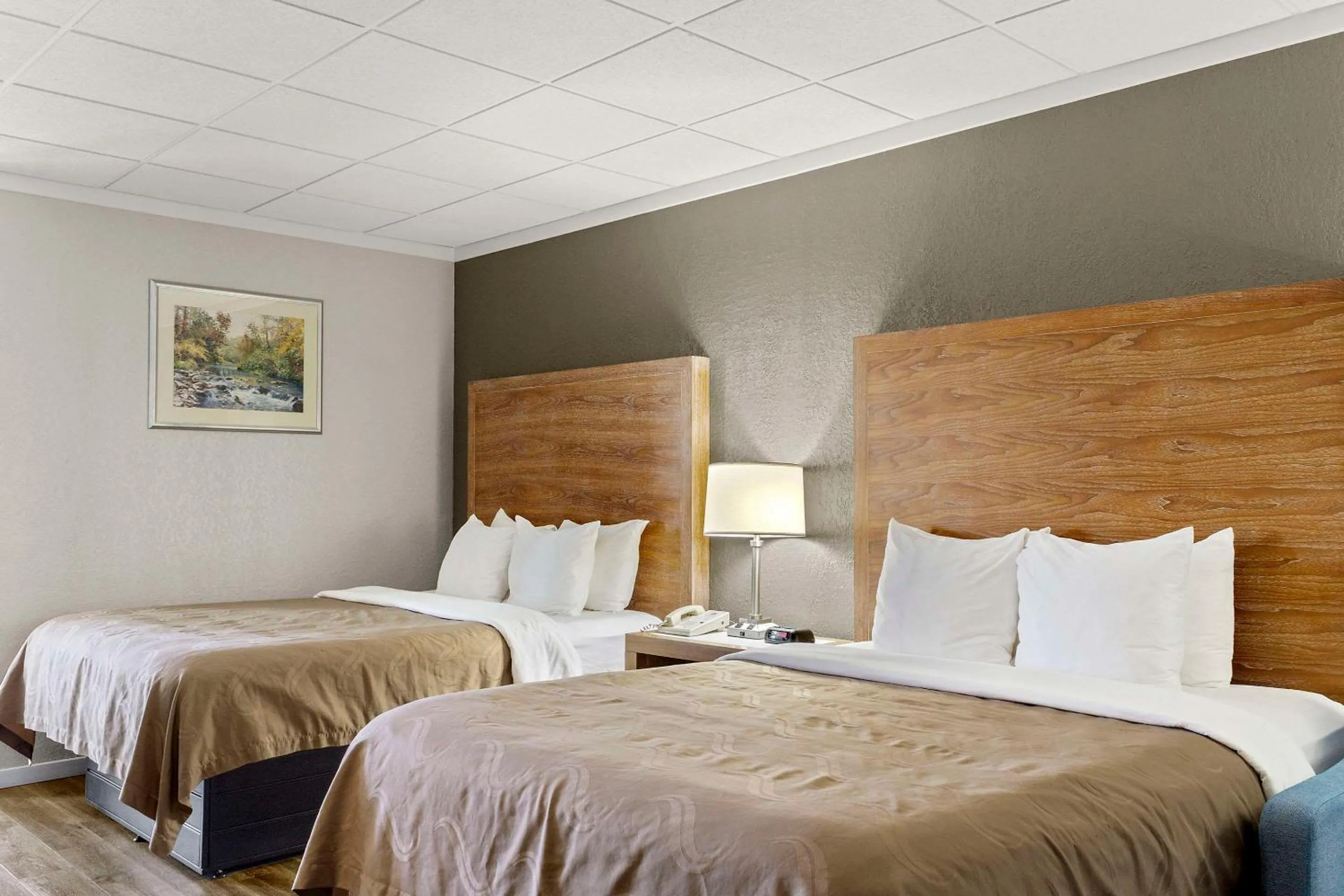 Bedroom, Bed in Quality Inn & Suites Green Bay Downtown