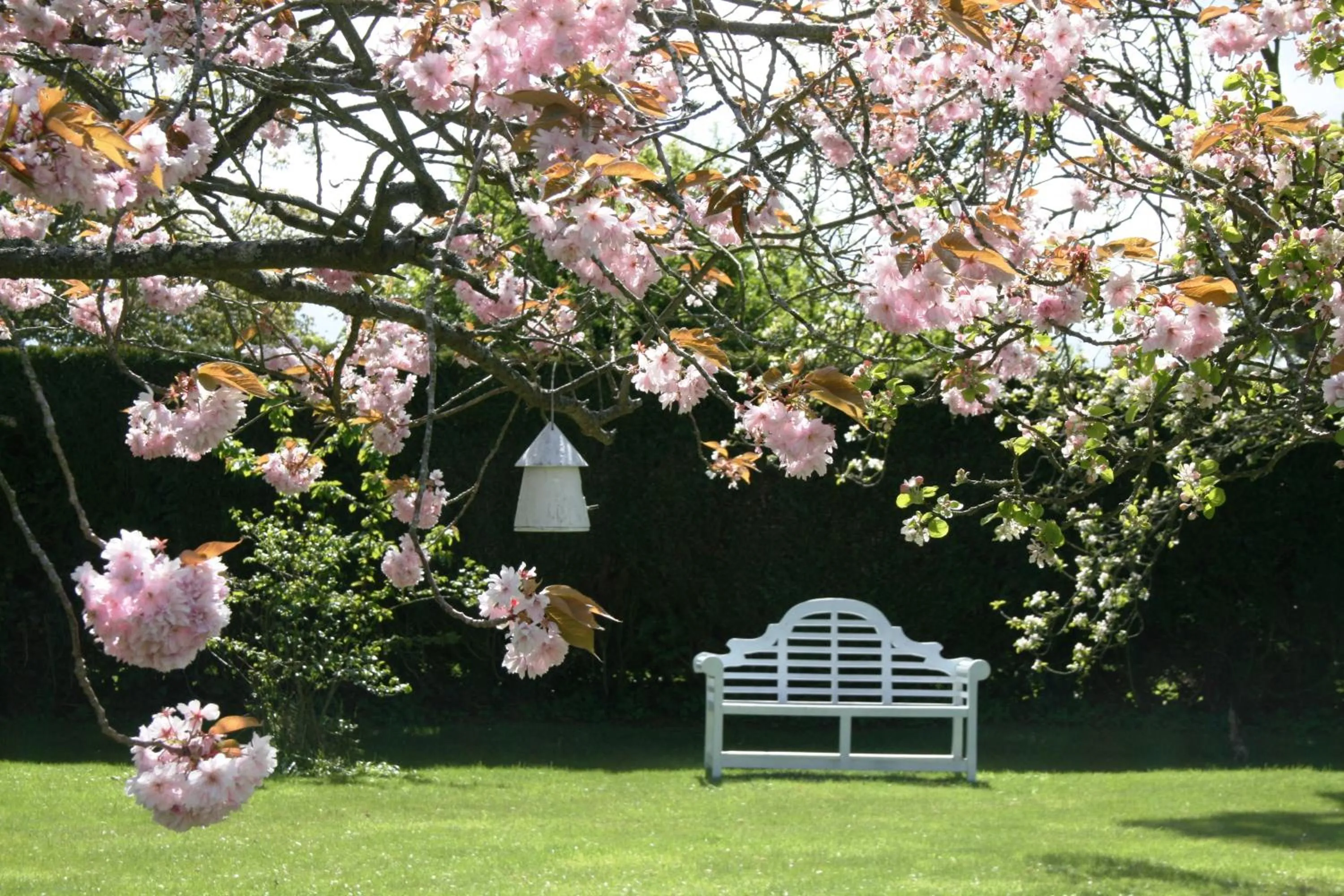 The Old Parsonage Country House