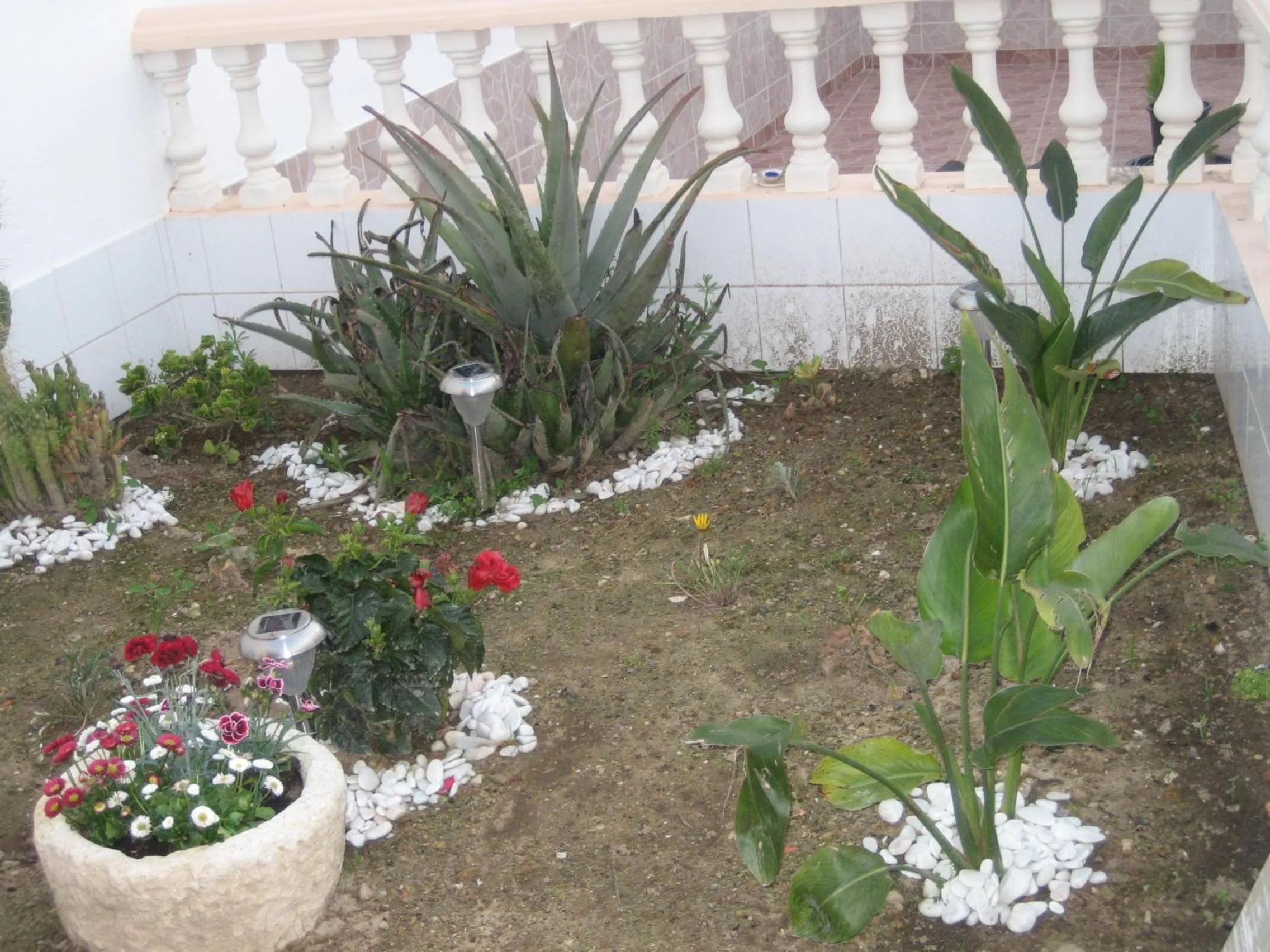Casa Bela Arade