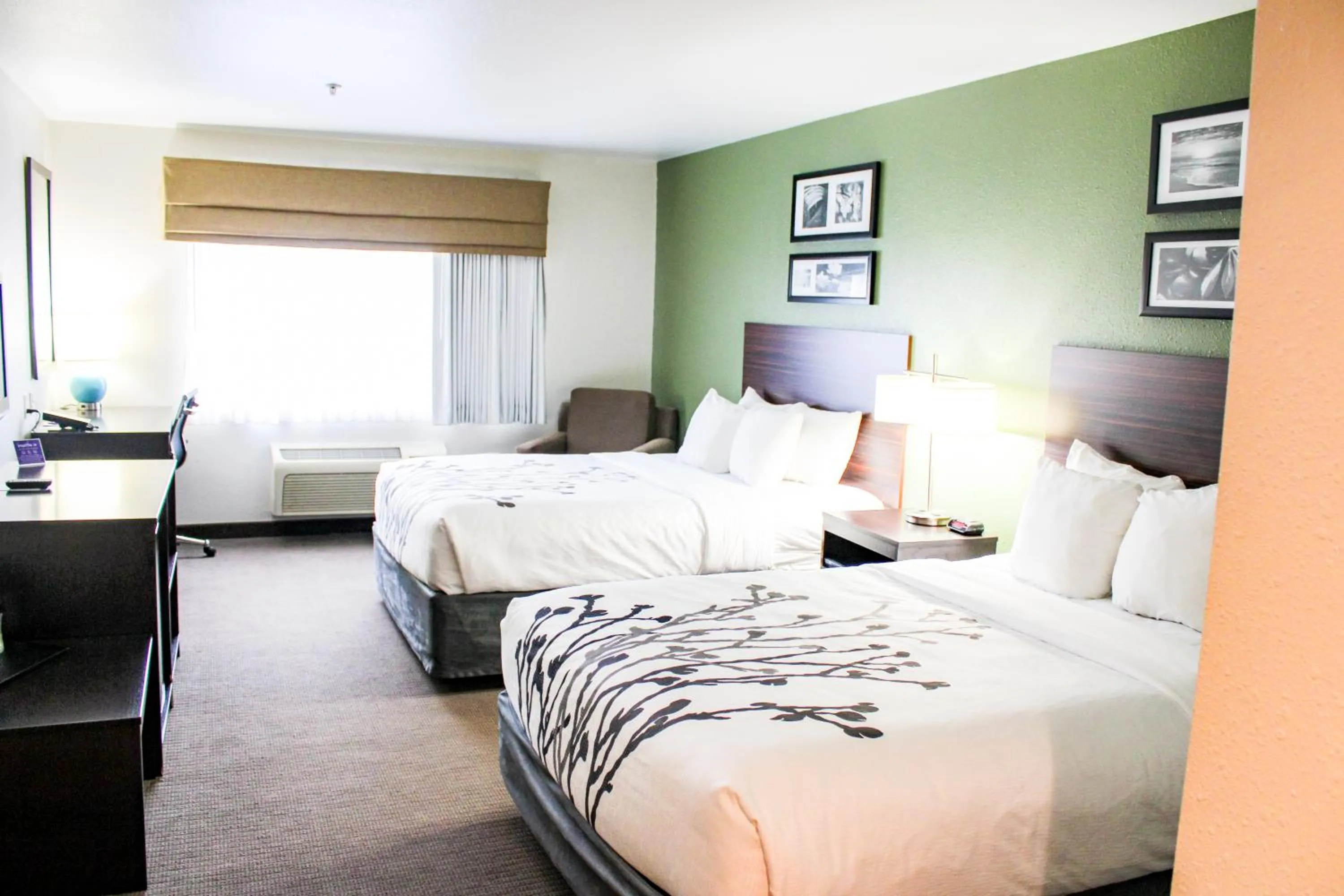 Bed in Sleep Inn & Suites Conference Center Eau Claire North