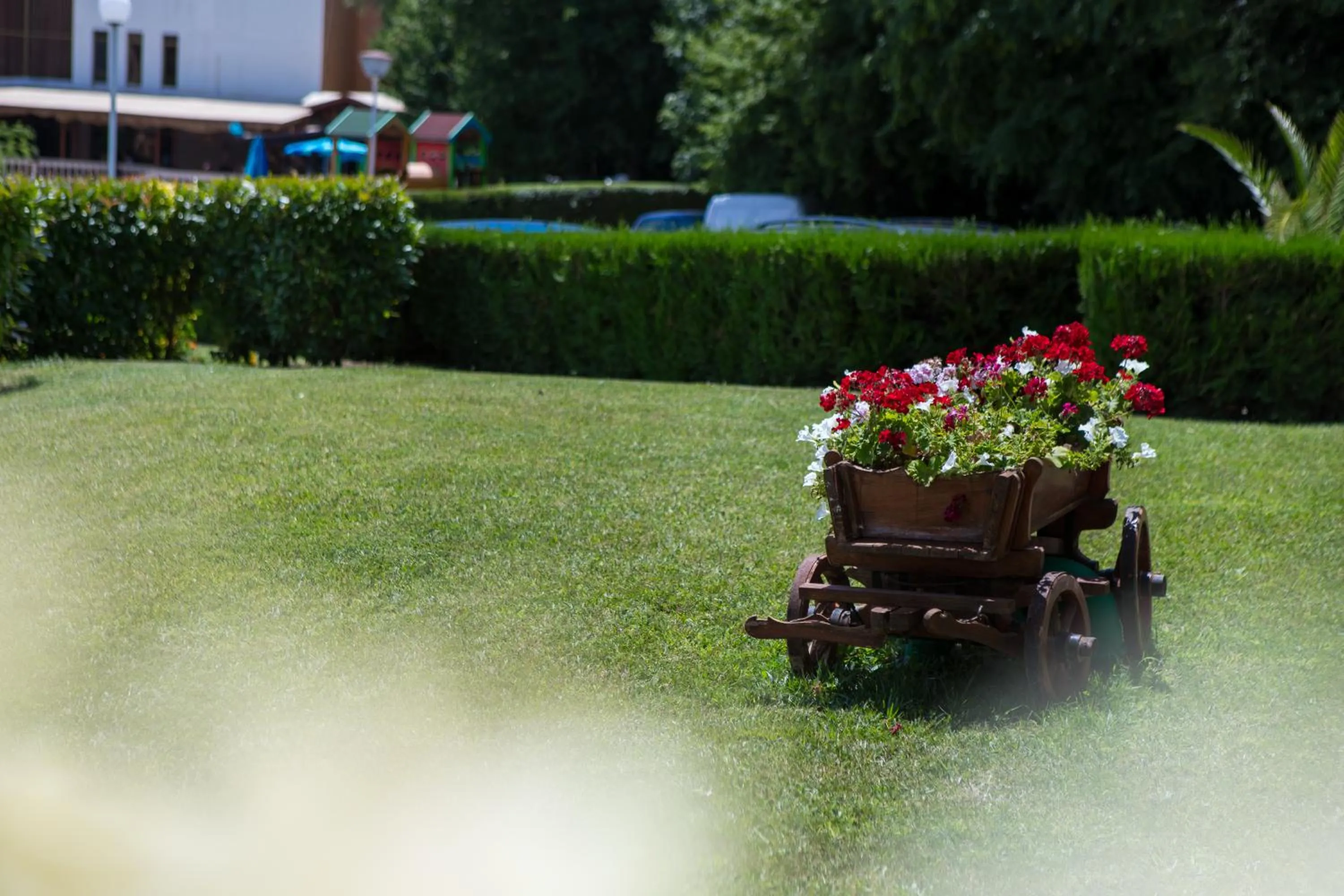 Garden in Park Hotel Perla