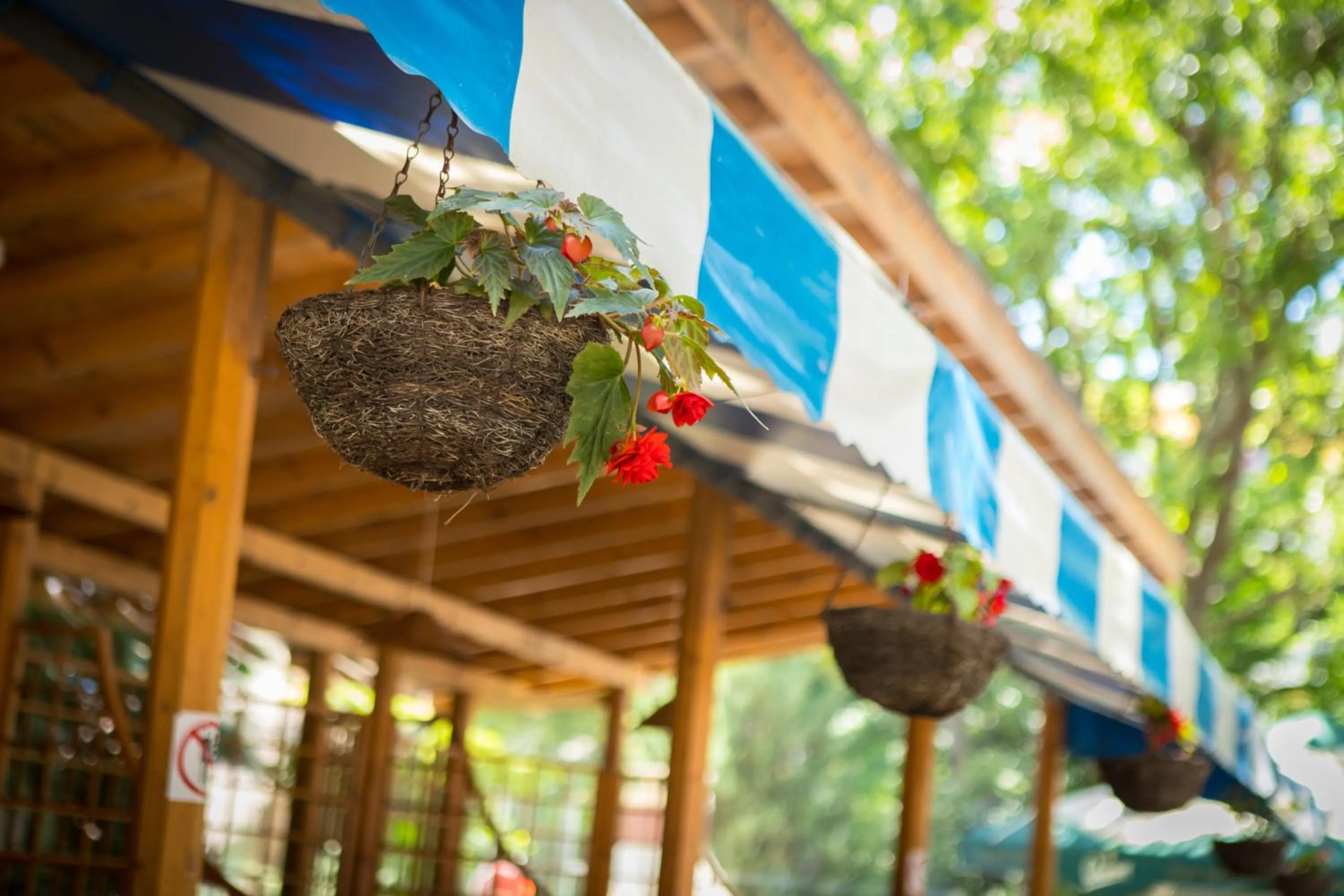 Restaurant/places to eat in Park Hotel Perla