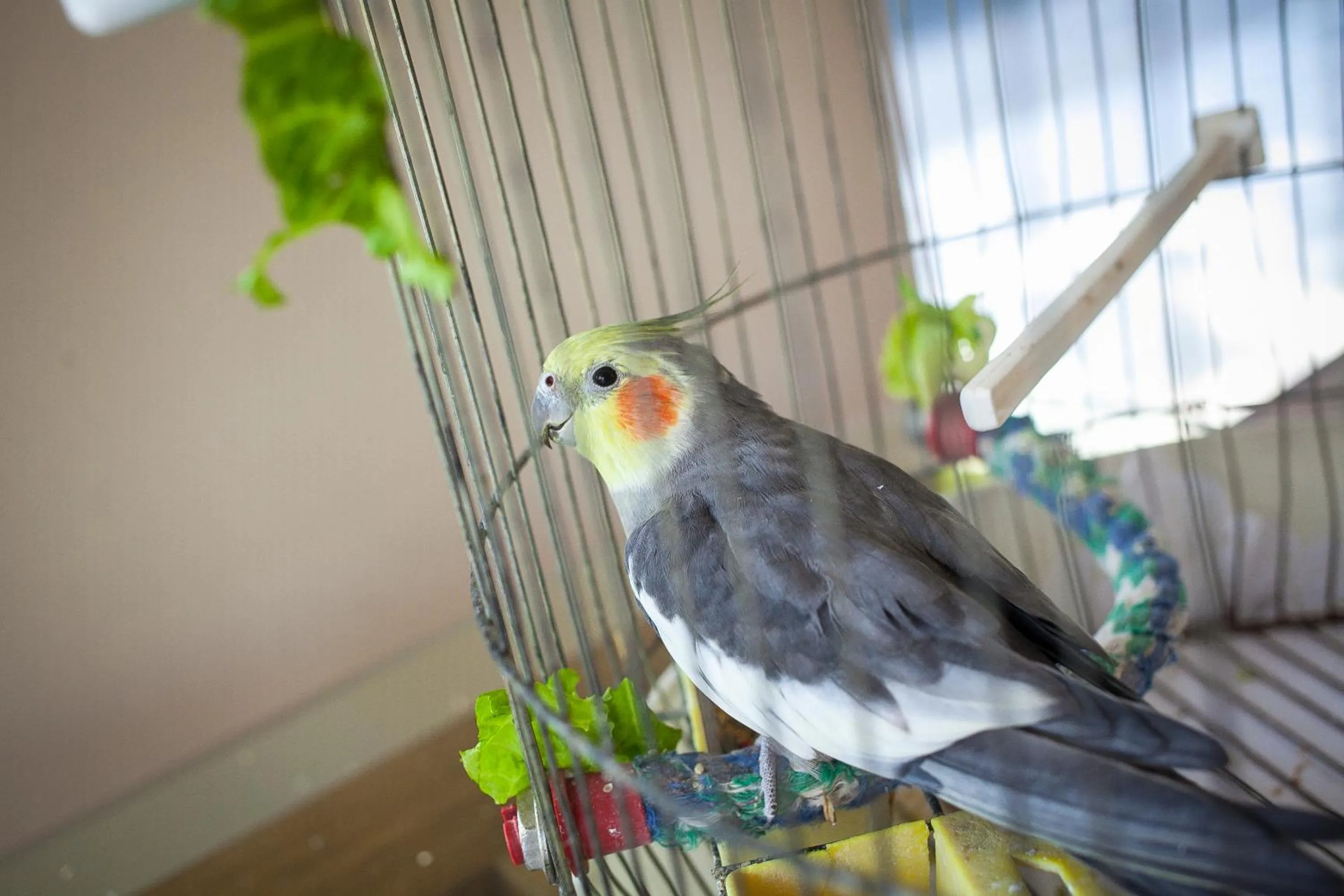 Property logo or sign in Park Hotel Perla