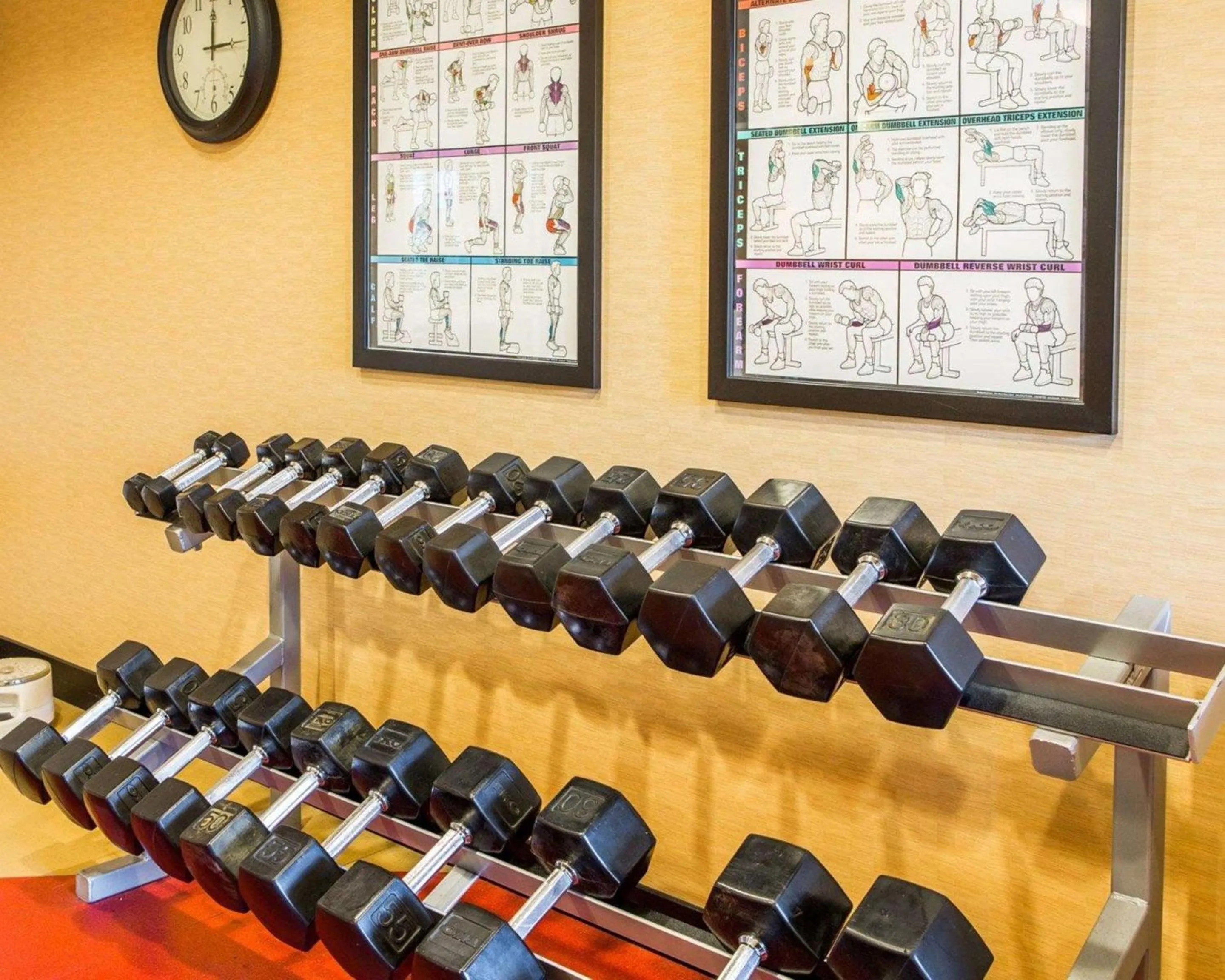 Fitness centre/facilities in Cambria Hotel Appleton