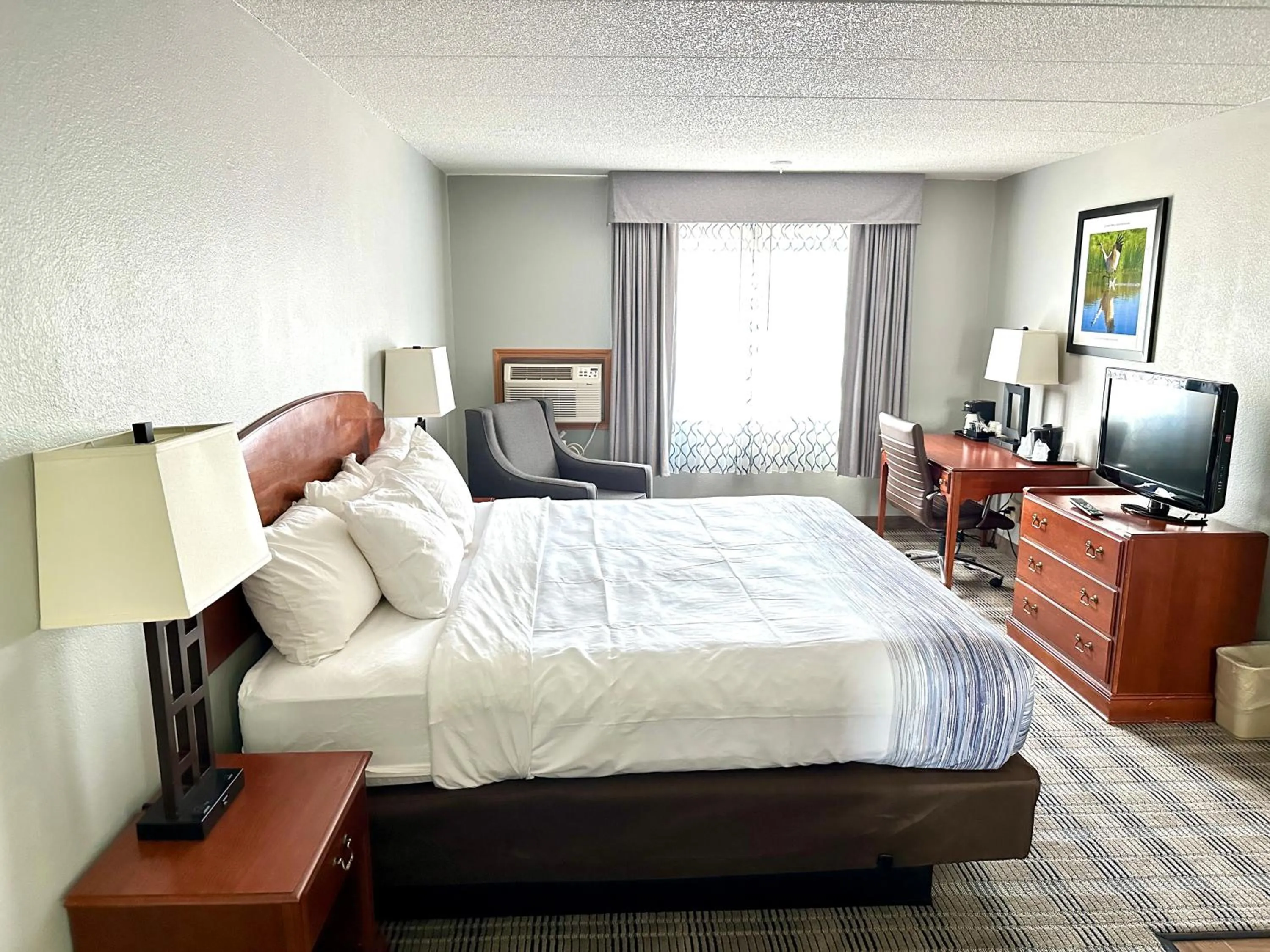 Bed in Clarion Hotel and Convention Center Baraboo
